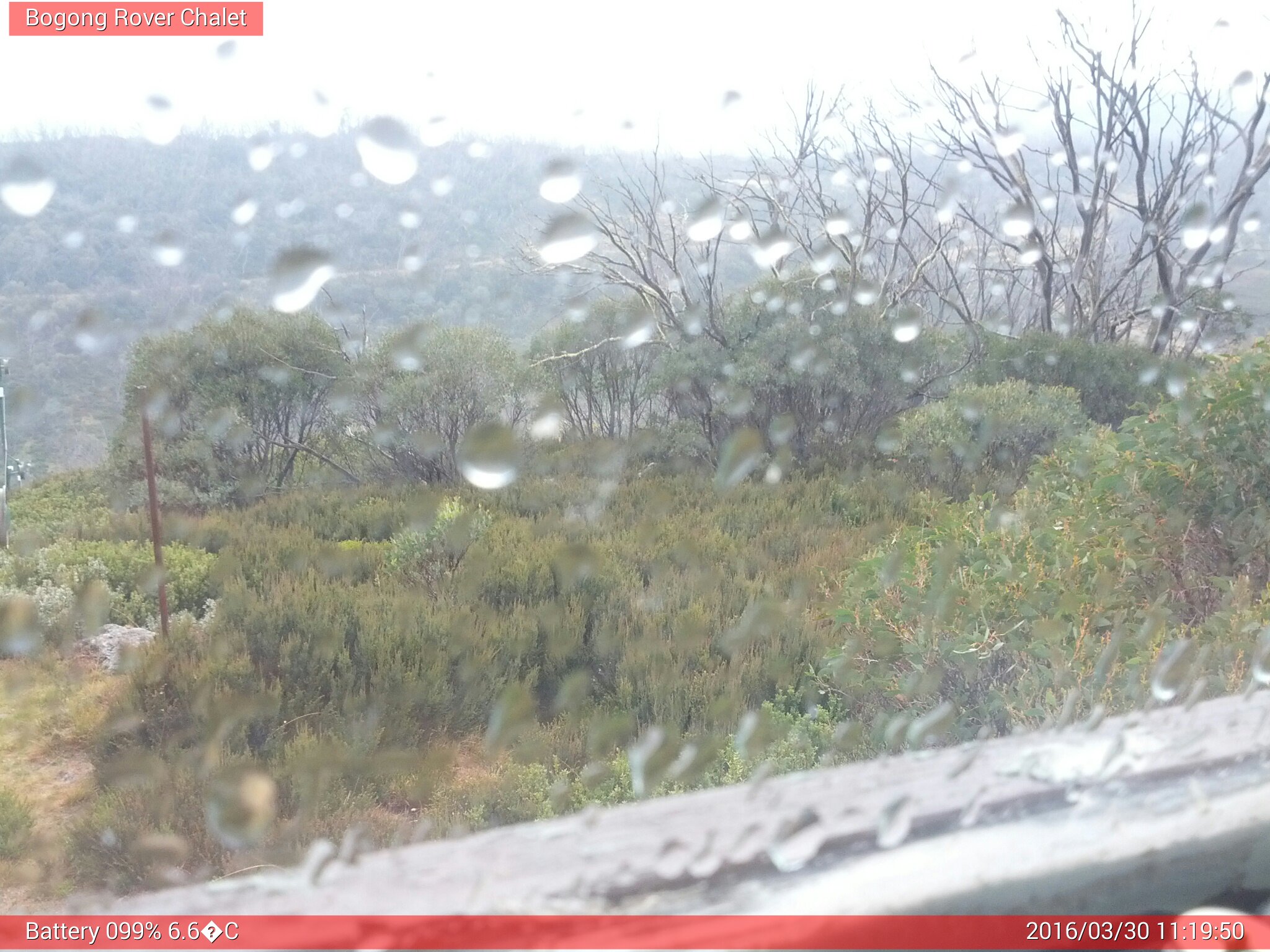 Bogong Web Cam 11:19am Wednesday 30th of March 2016