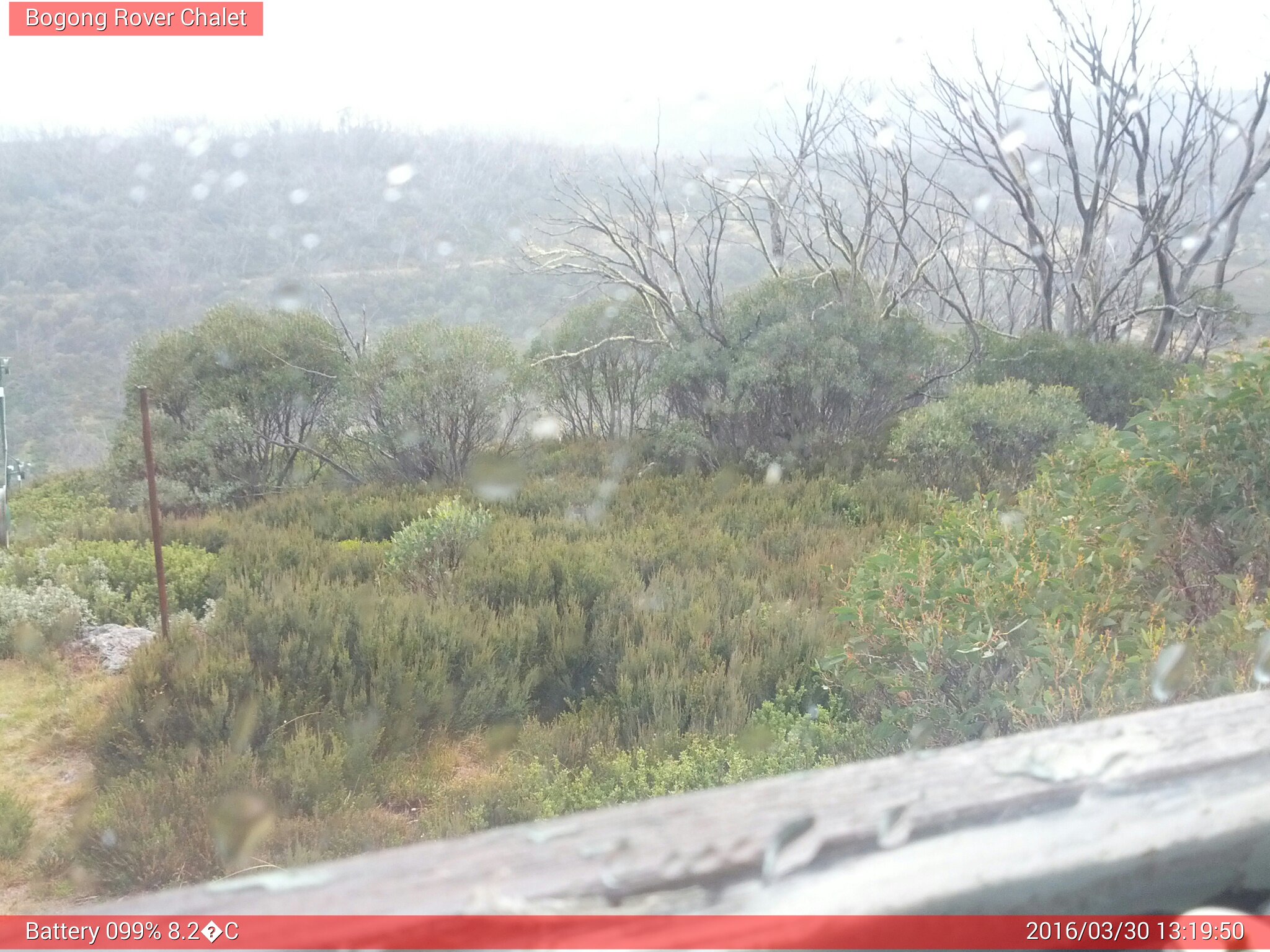 Bogong Web Cam 1:19pm Wednesday 30th of March 2016