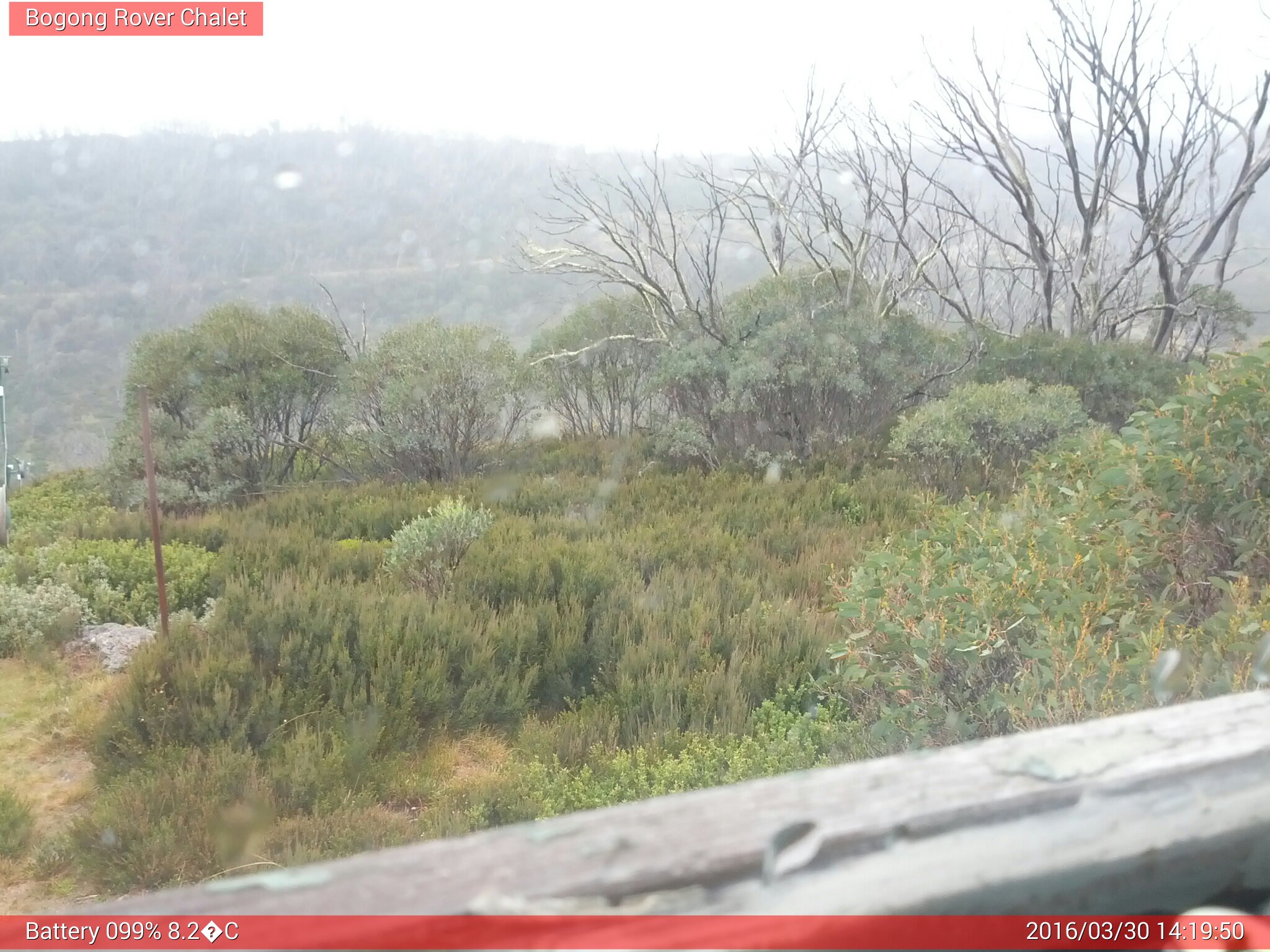 Bogong Web Cam 2:19pm Wednesday 30th of March 2016