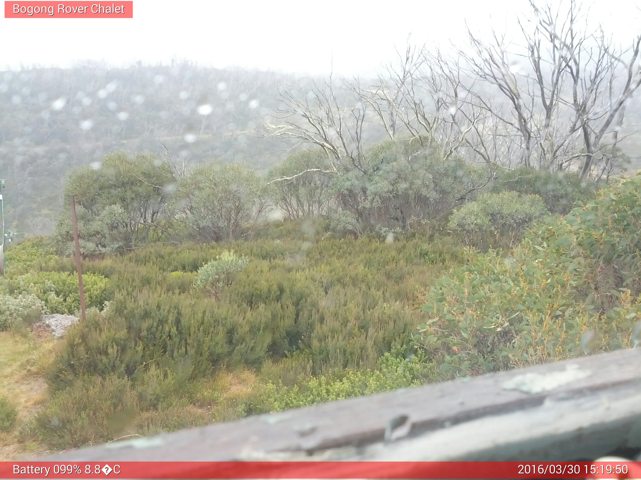 Bogong Web Cam 3:19pm Wednesday 30th of March 2016