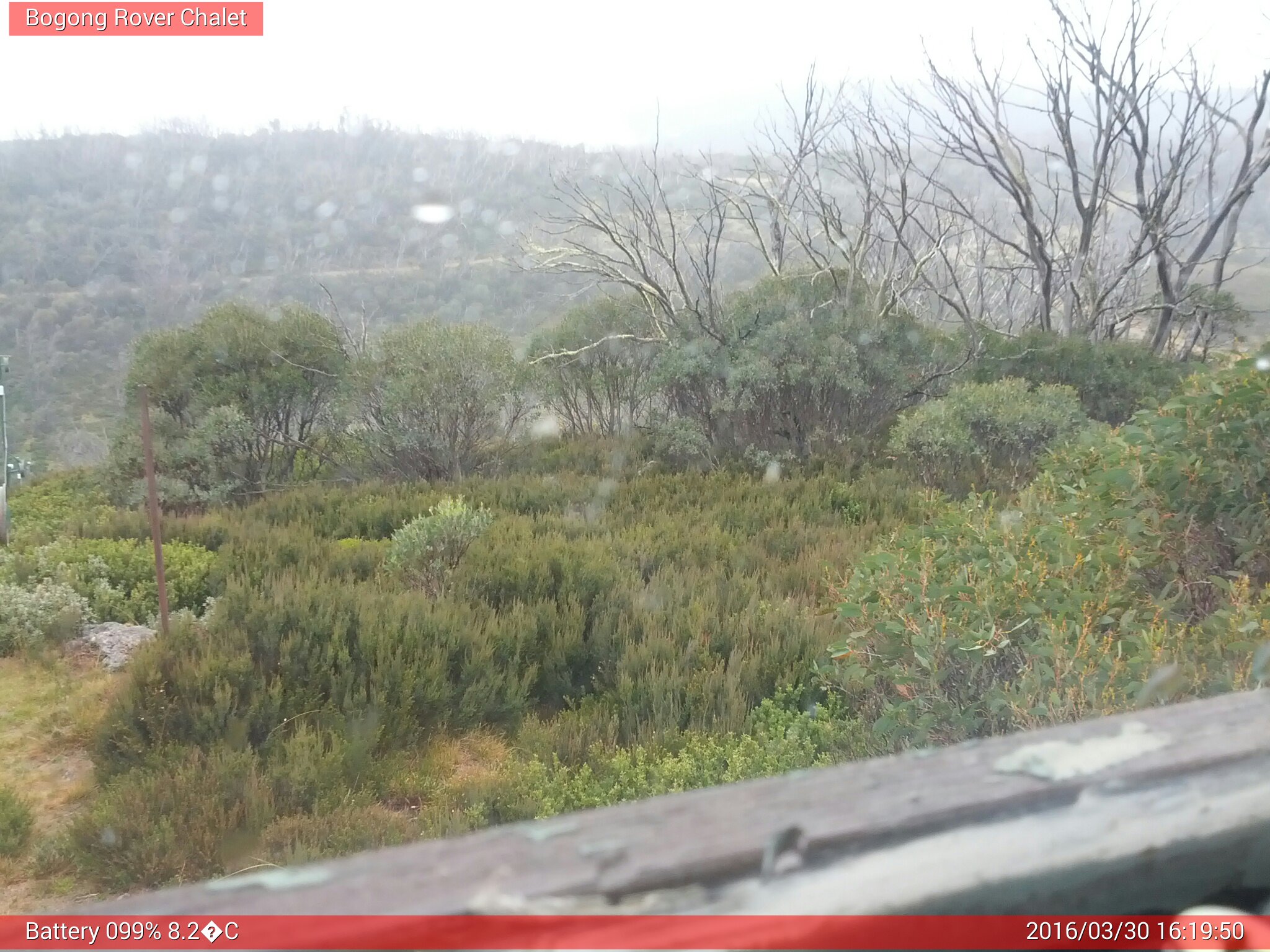 Bogong Web Cam 4:19pm Wednesday 30th of March 2016