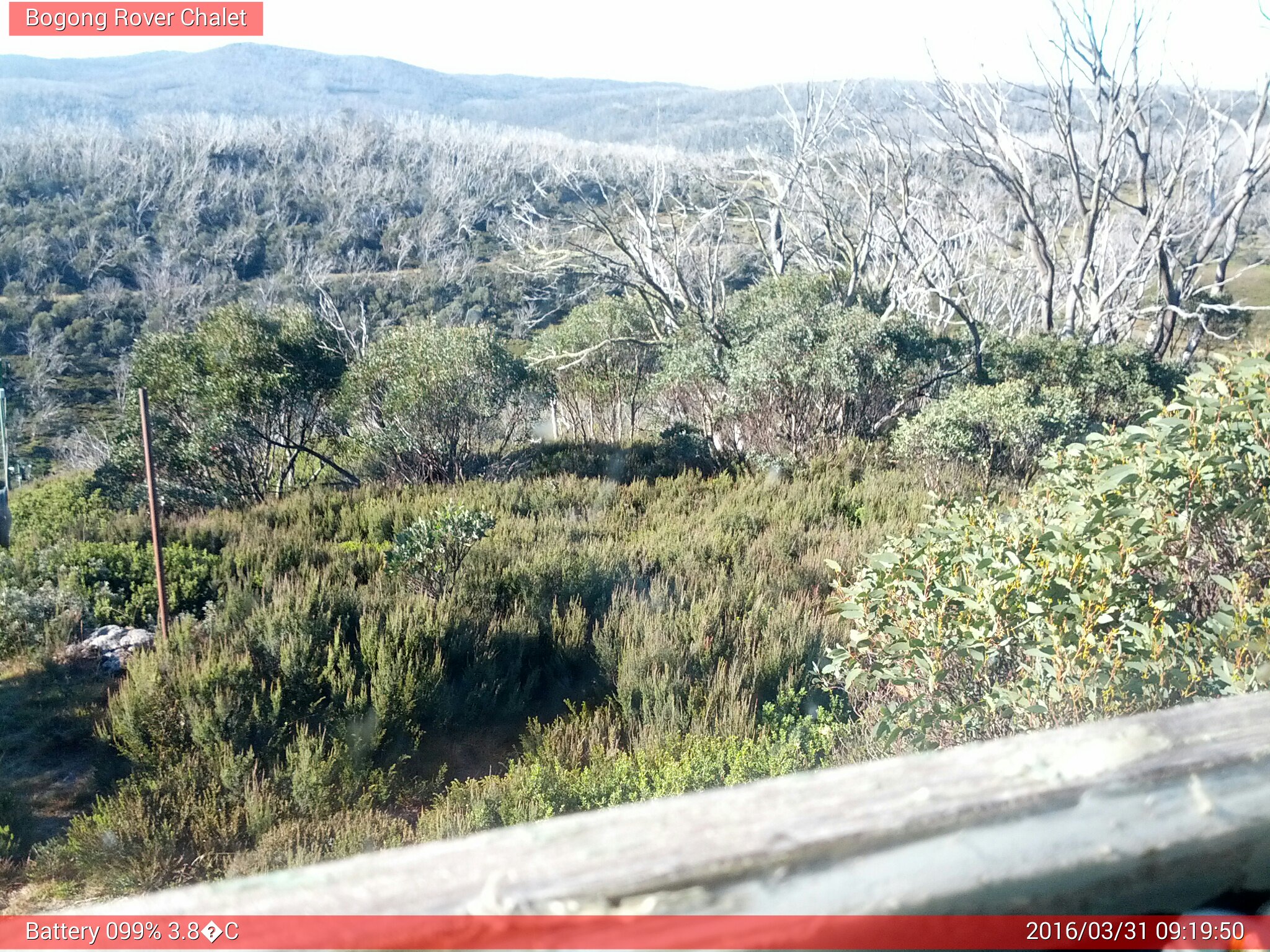 Bogong Web Cam 9:19am Thursday 31st of March 2016