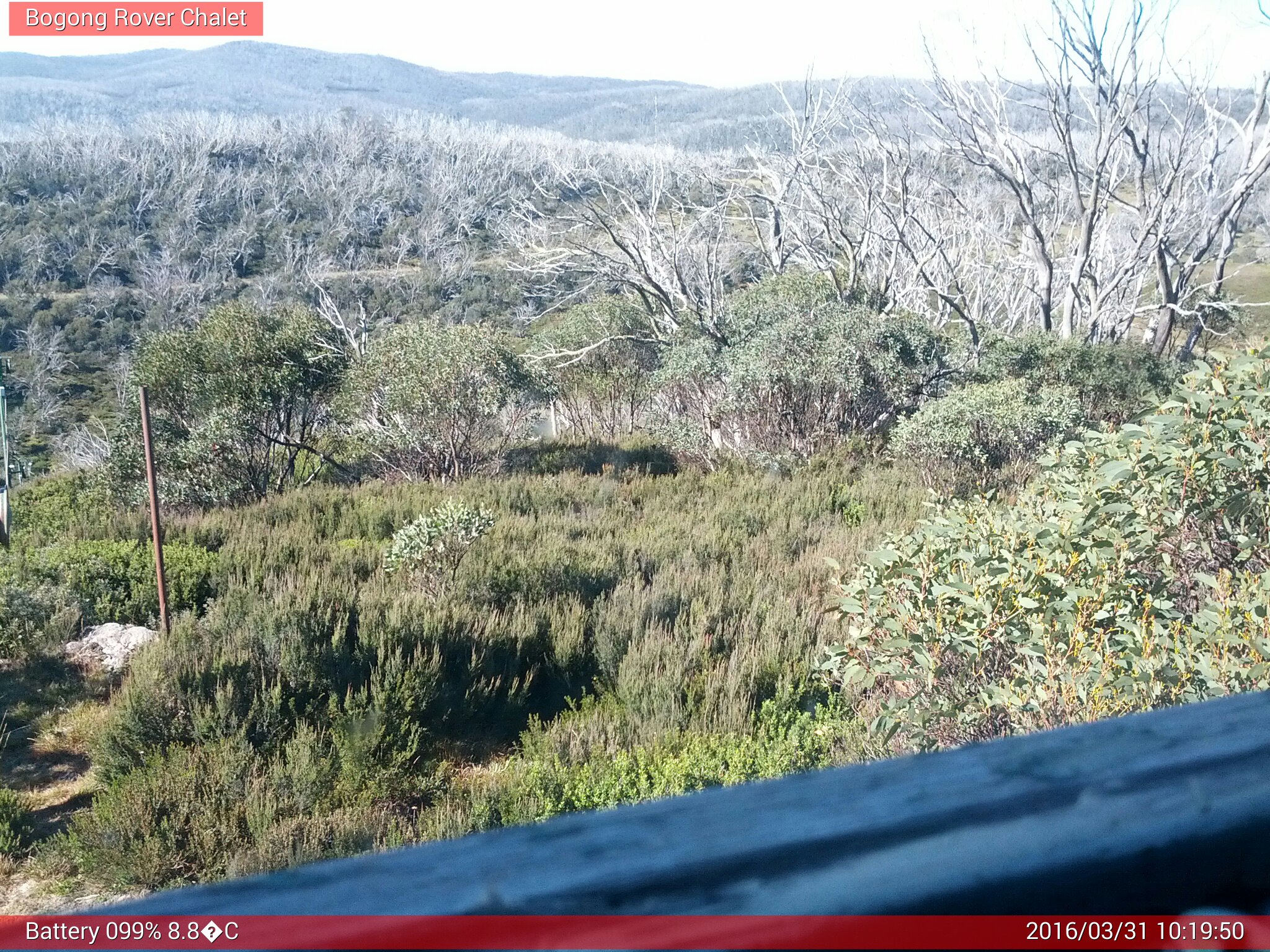 Bogong Web Cam 10:19am Thursday 31st of March 2016