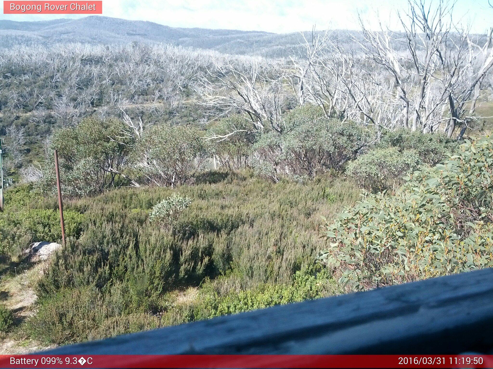 Bogong Web Cam 11:19am Thursday 31st of March 2016