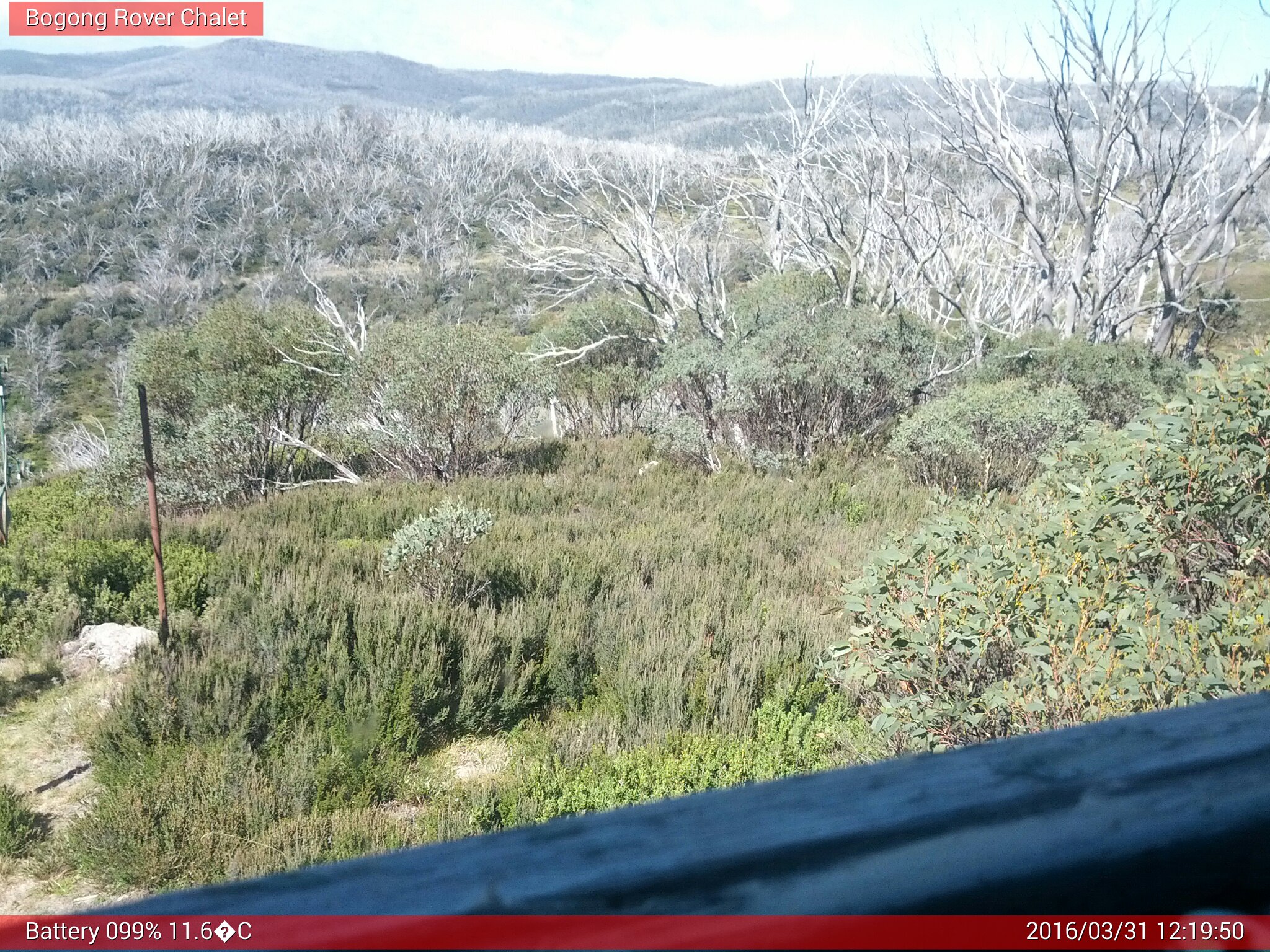 Bogong Web Cam 12:19pm Thursday 31st of March 2016