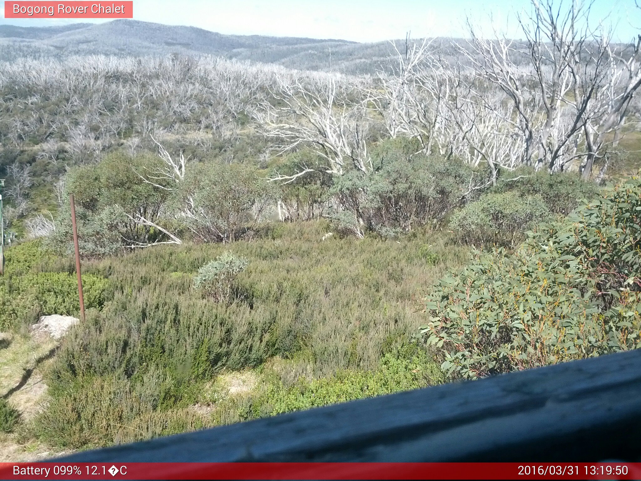 Bogong Web Cam 1:19pm Thursday 31st of March 2016