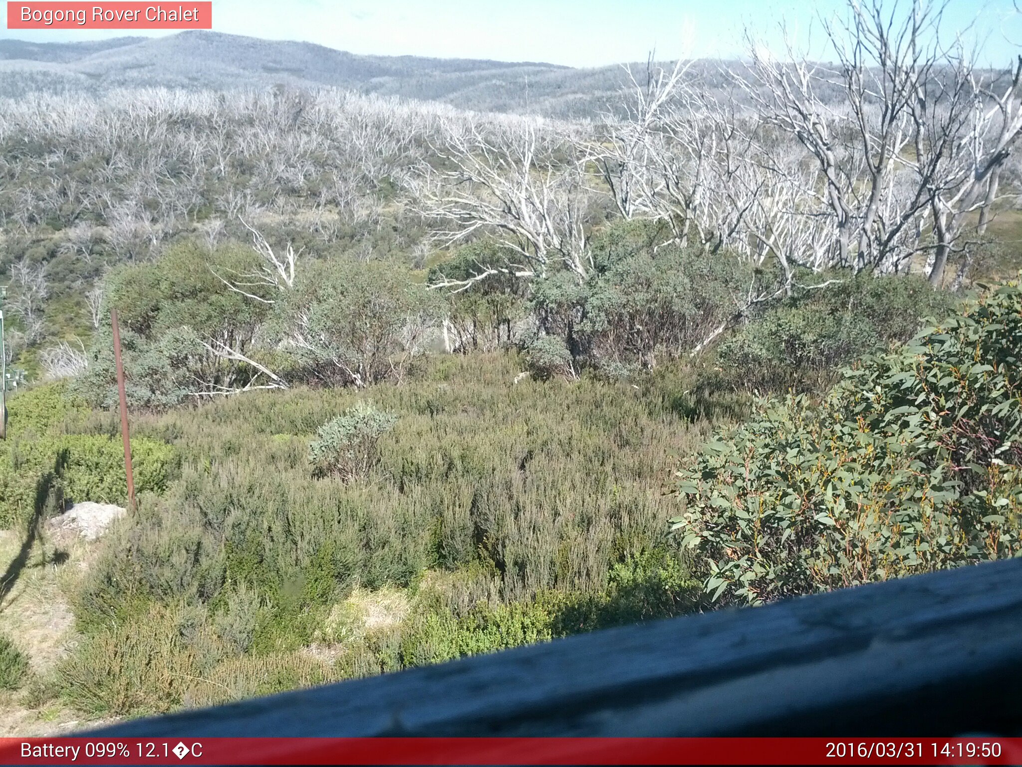 Bogong Web Cam 2:19pm Thursday 31st of March 2016