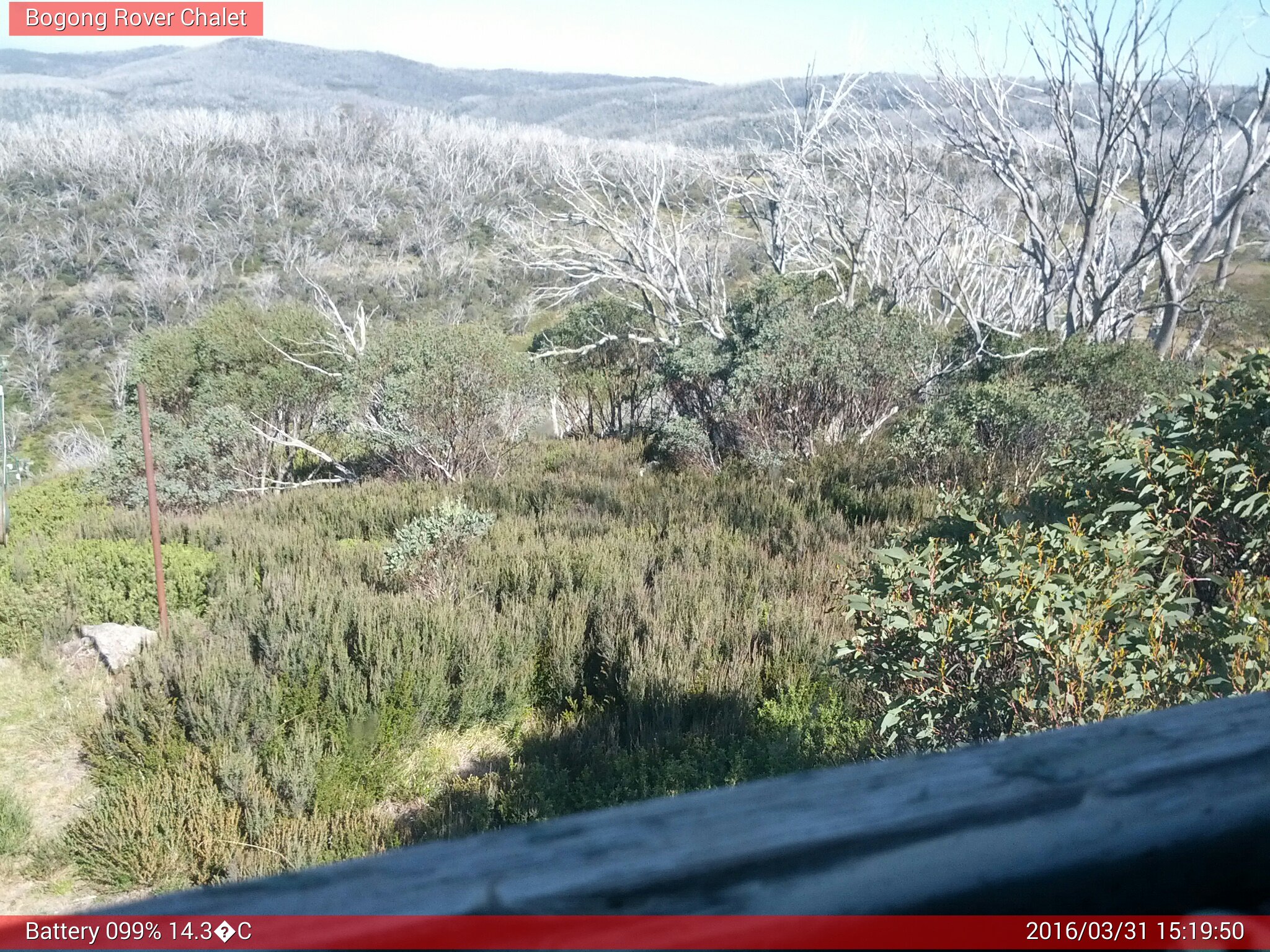 Bogong Web Cam 3:19pm Thursday 31st of March 2016