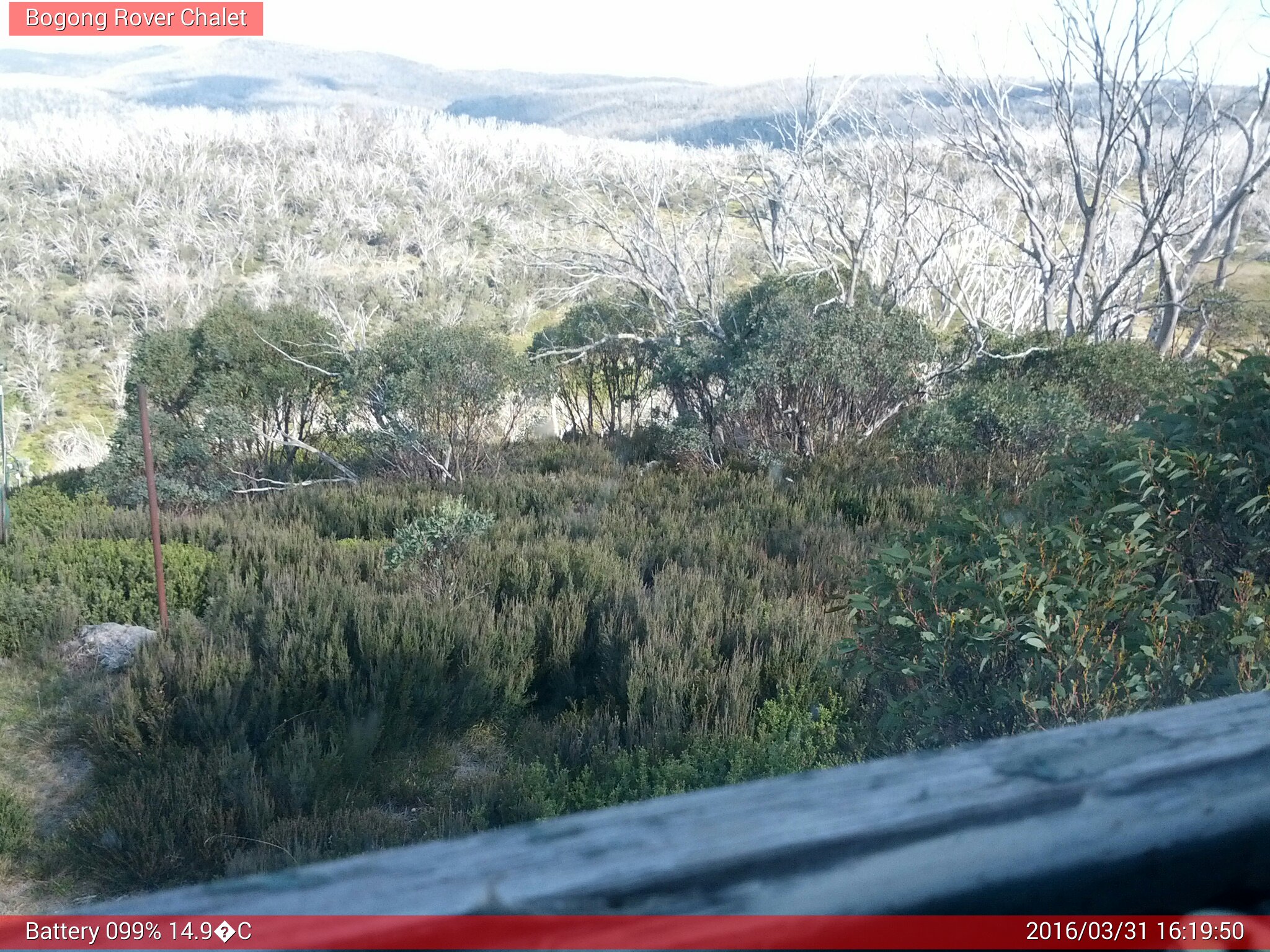 Bogong Web Cam 4:19pm Thursday 31st of March 2016