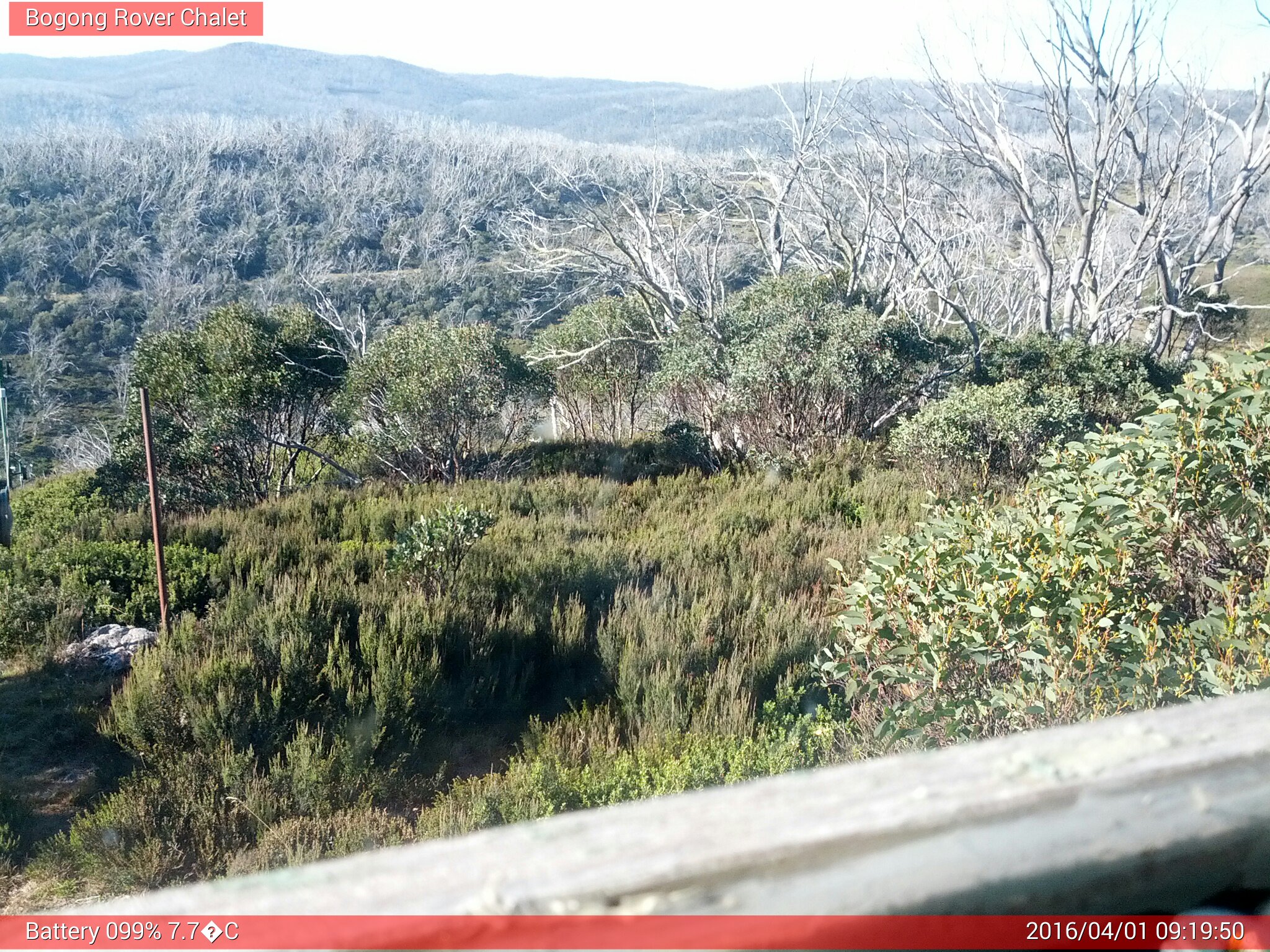 Bogong Web Cam 9:19am Friday 1st of April 2016