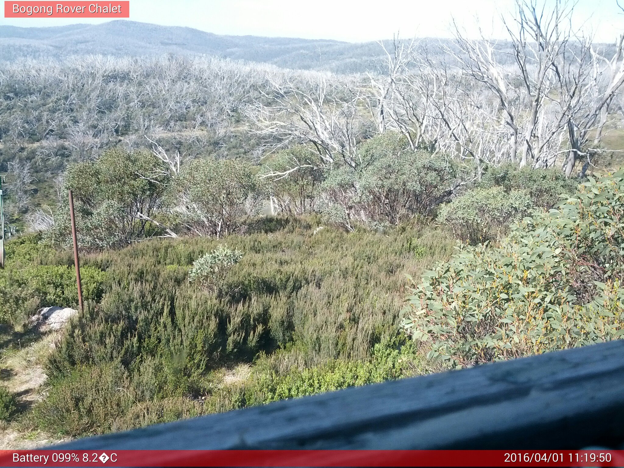 Bogong Web Cam 11:19am Friday 1st of April 2016