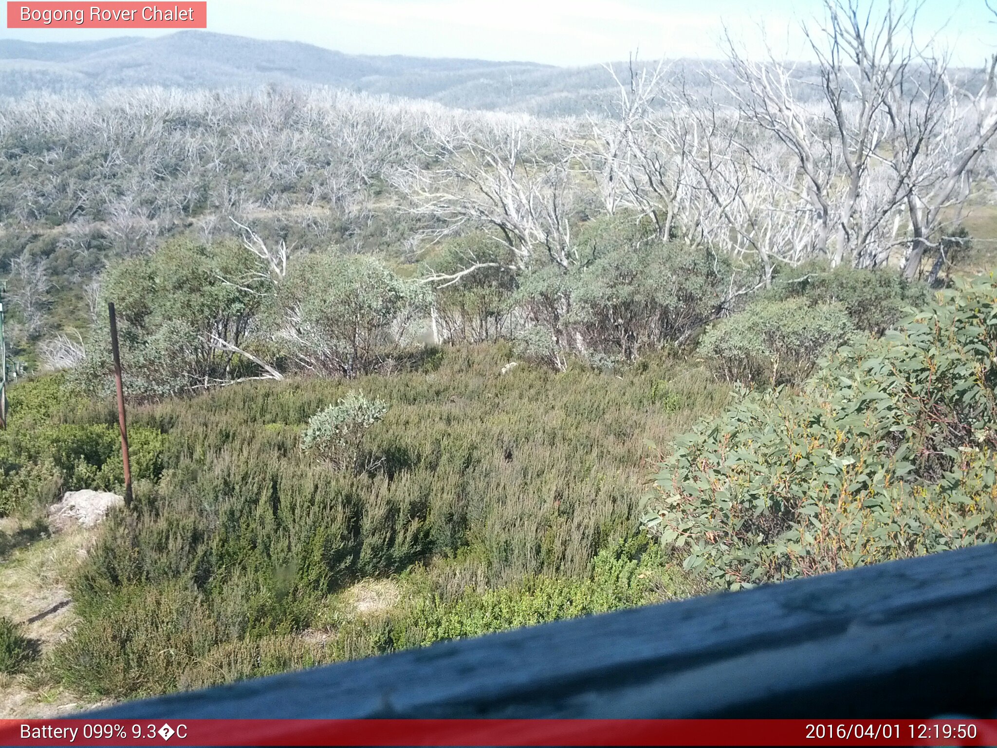 Bogong Web Cam 12:19pm Friday 1st of April 2016