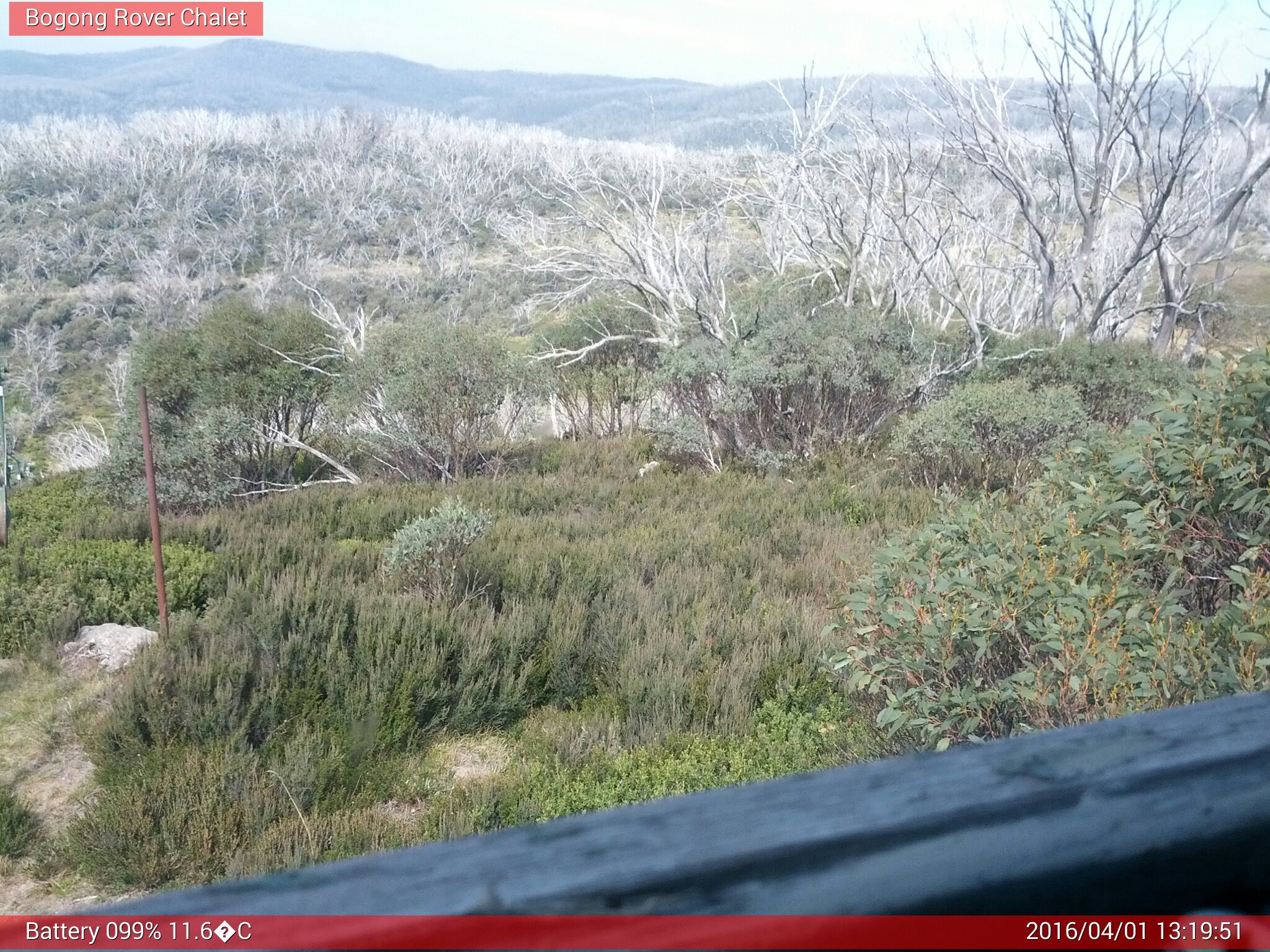 Bogong Web Cam 1:19pm Friday 1st of April 2016