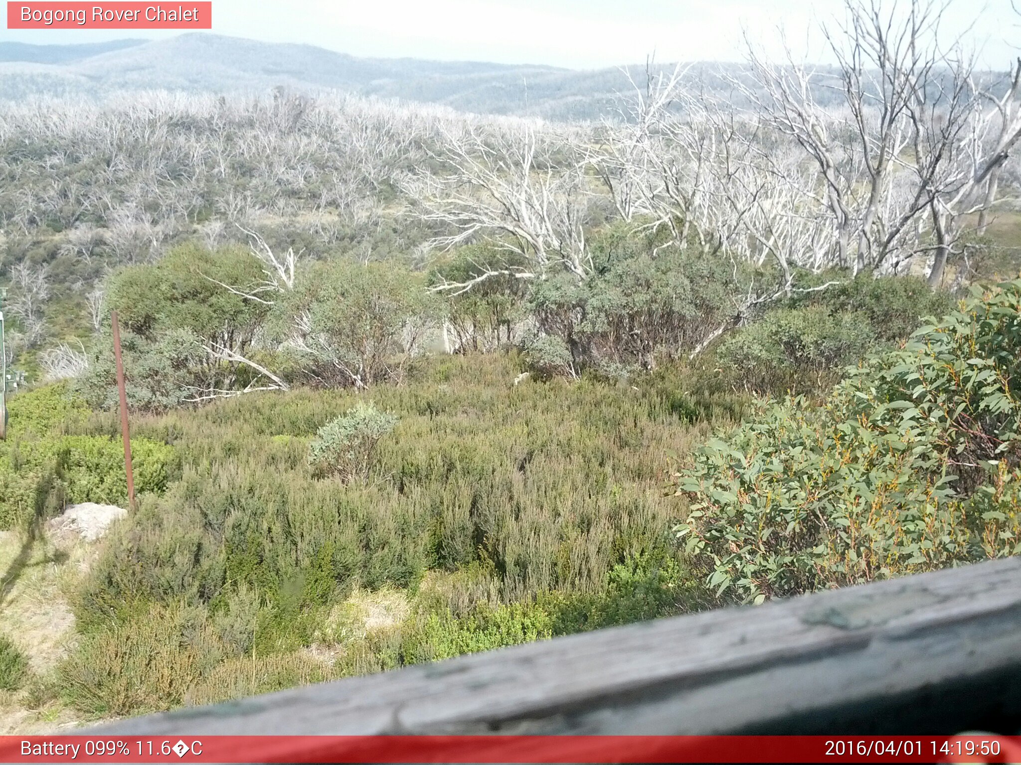 Bogong Web Cam 2:19pm Friday 1st of April 2016