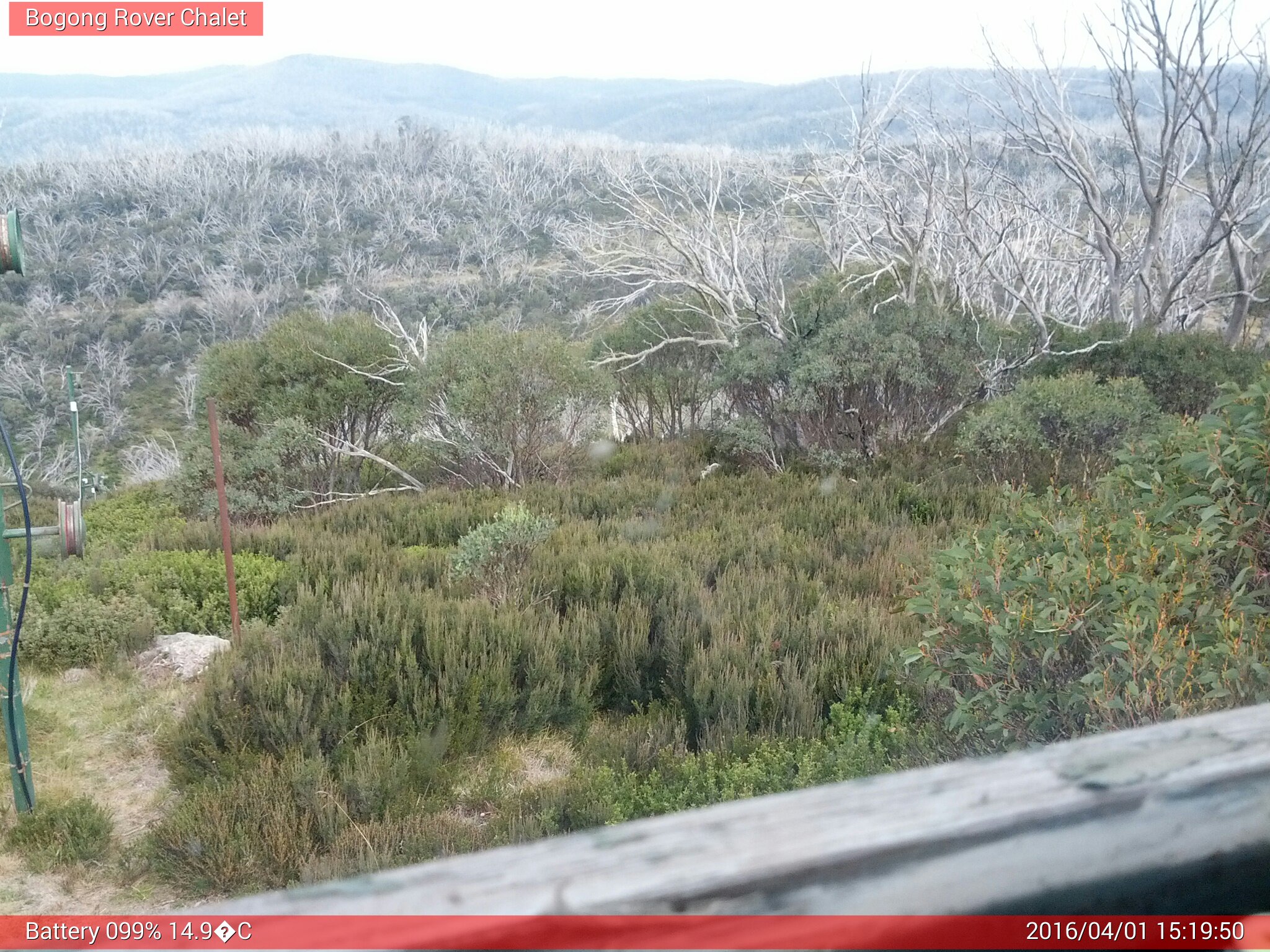 Bogong Web Cam 3:19pm Friday 1st of April 2016