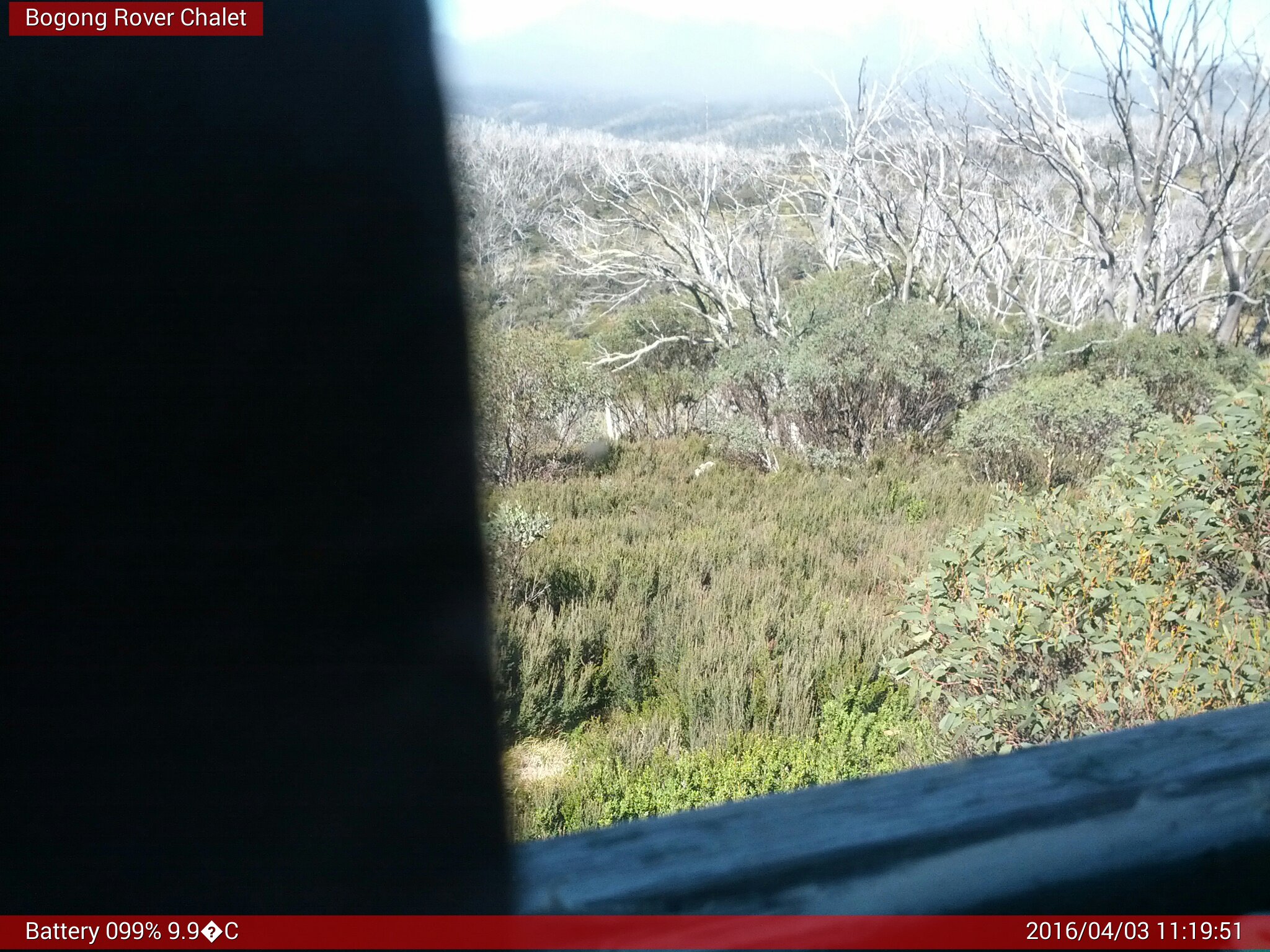 Bogong Web Cam 11:19am Sunday 3rd of April 2016