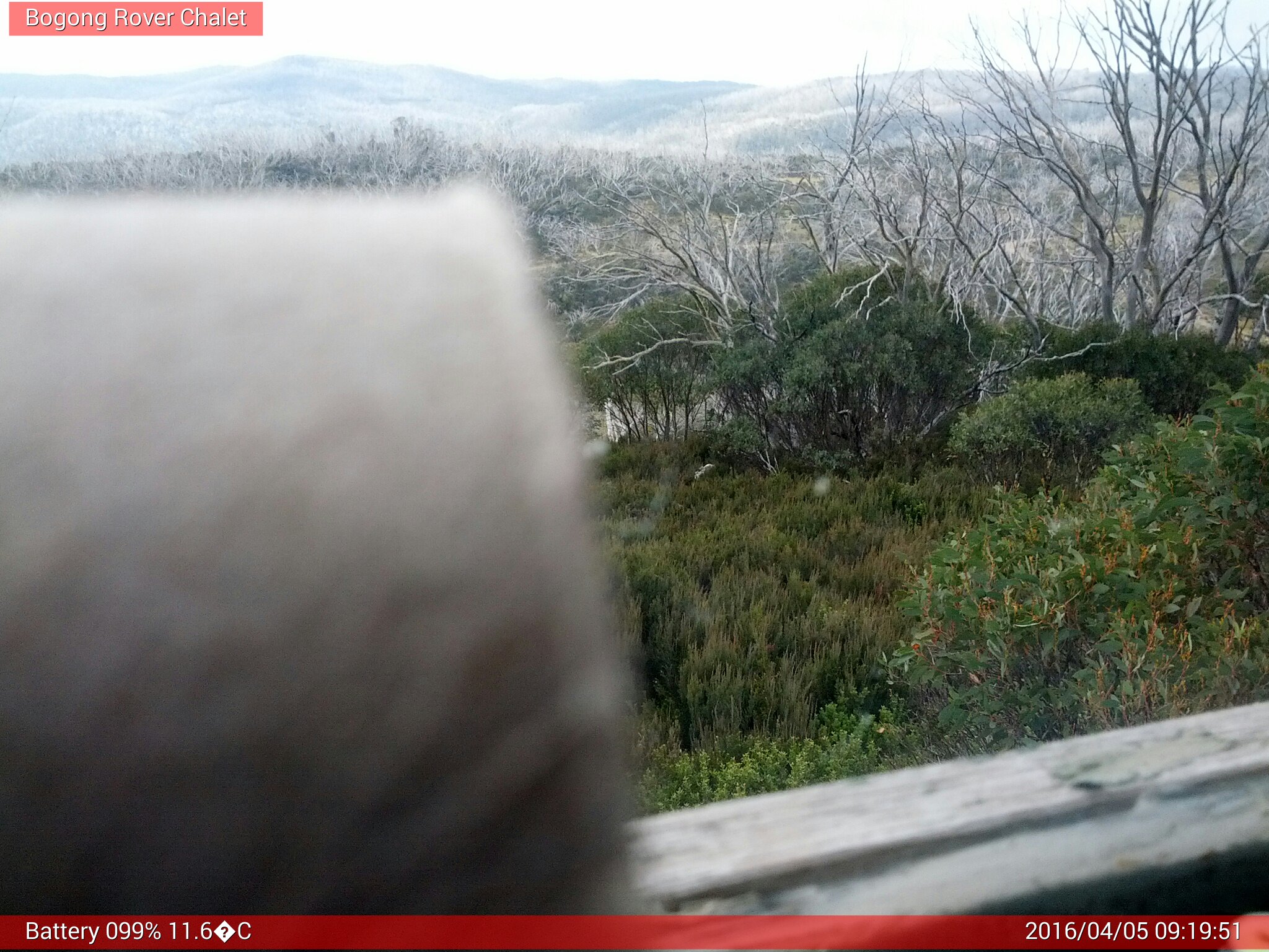 Bogong Web Cam 9:19am Tuesday 5th of April 2016