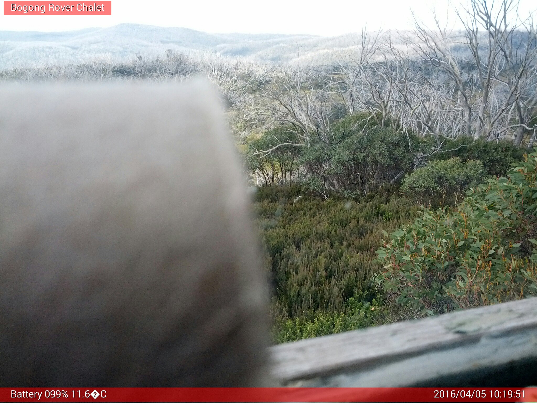 Bogong Web Cam 10:19am Tuesday 5th of April 2016