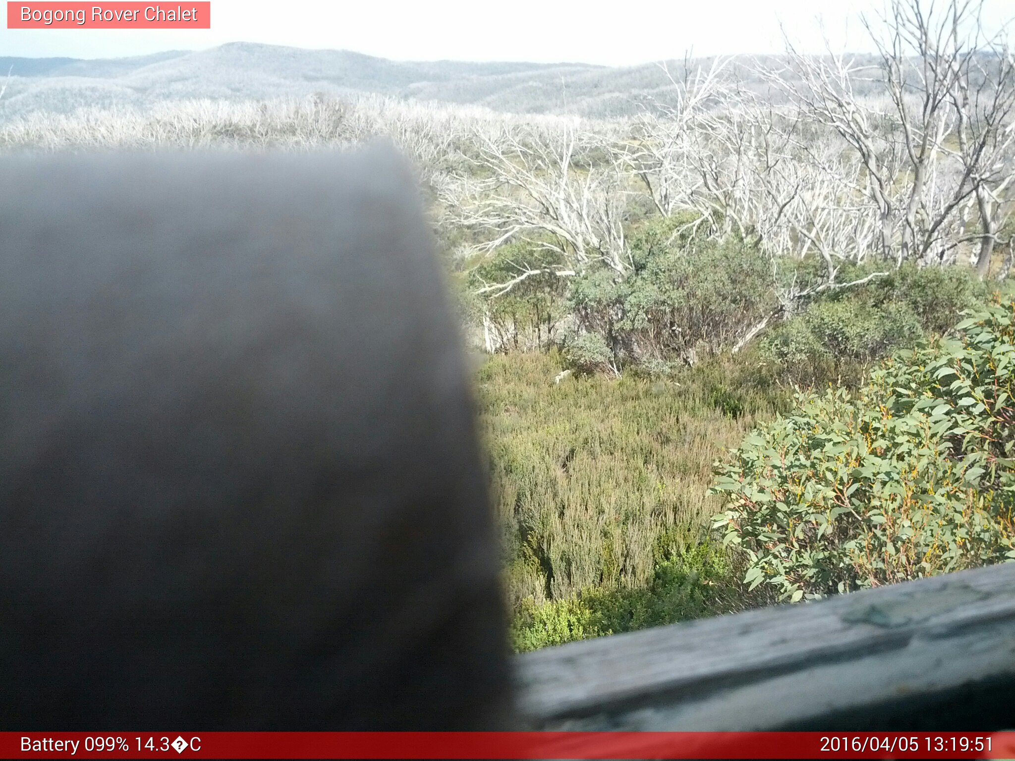 Bogong Web Cam 1:19pm Tuesday 5th of April 2016