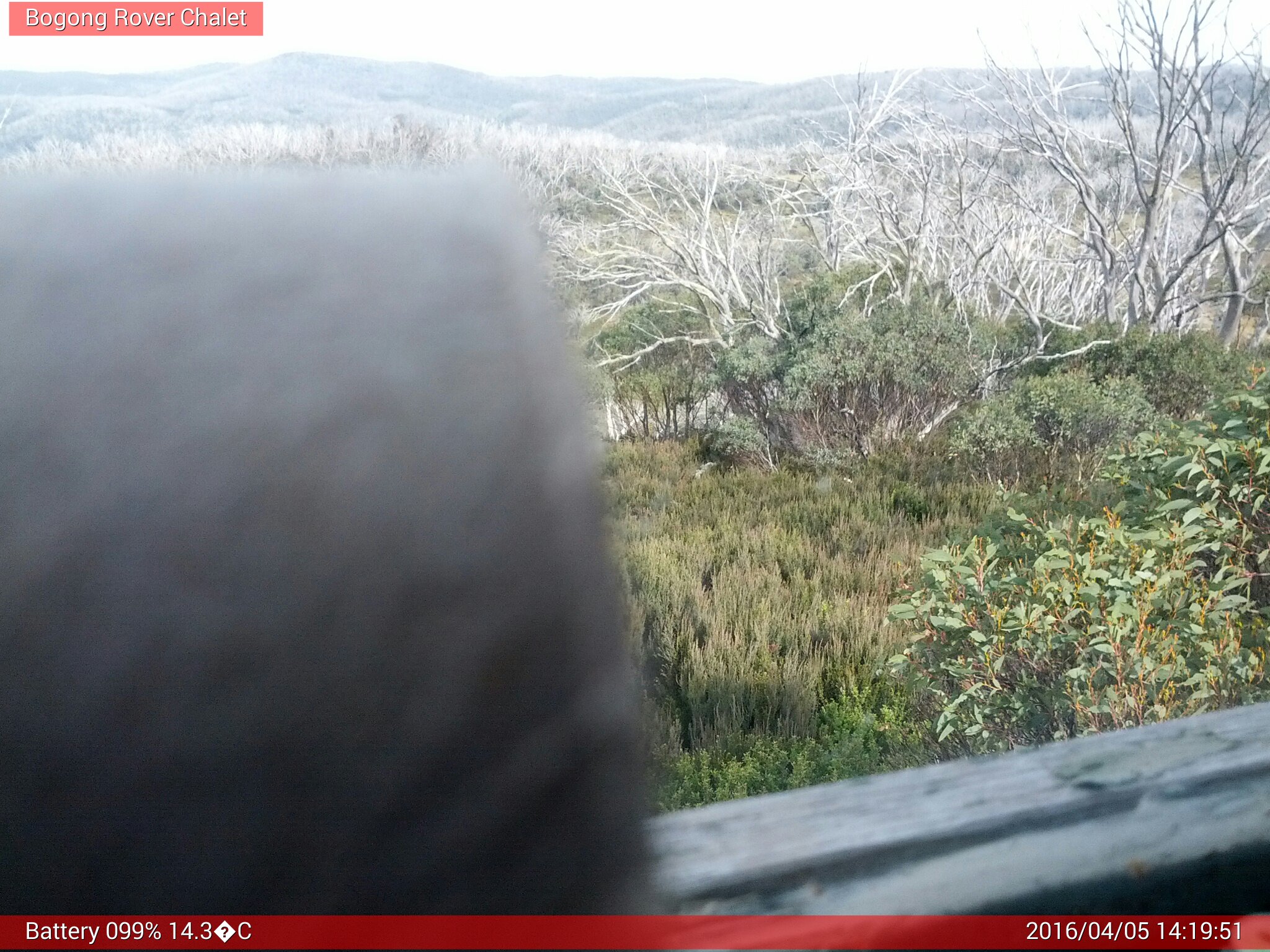 Bogong Web Cam 2:19pm Tuesday 5th of April 2016