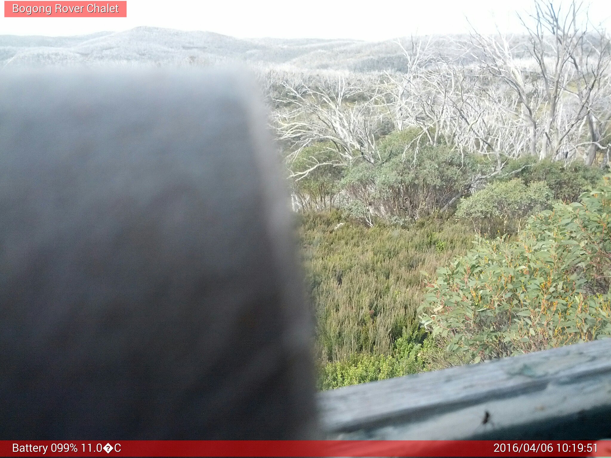 Bogong Web Cam 10:19am Wednesday 6th of April 2016