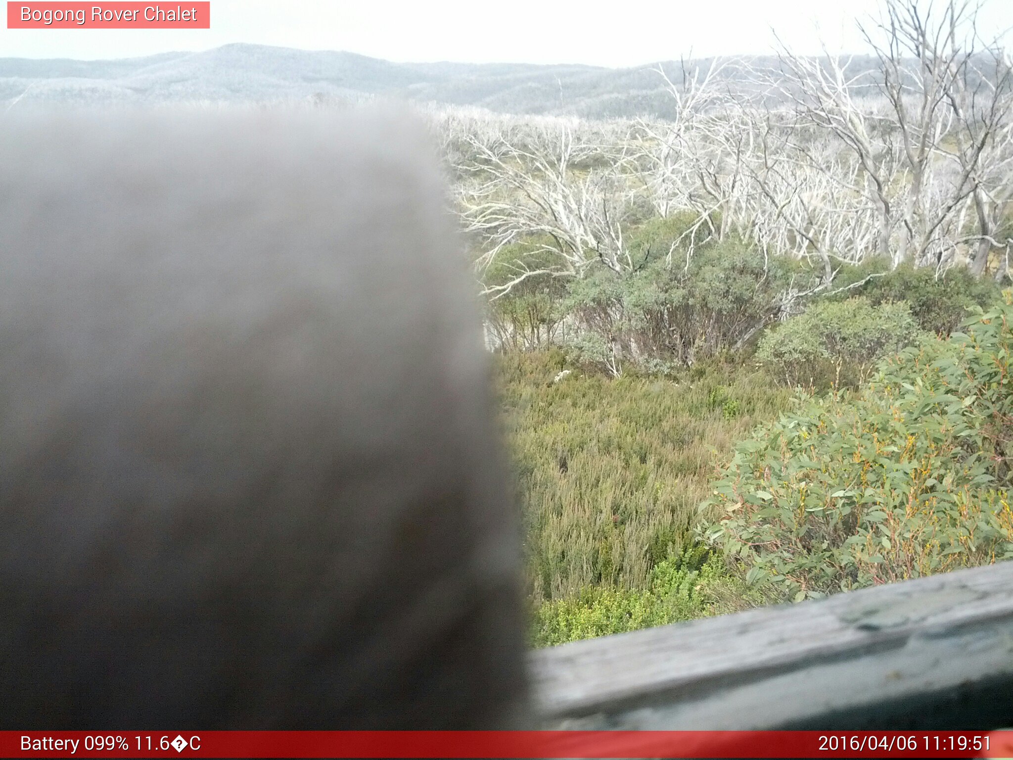 Bogong Web Cam 11:19am Wednesday 6th of April 2016