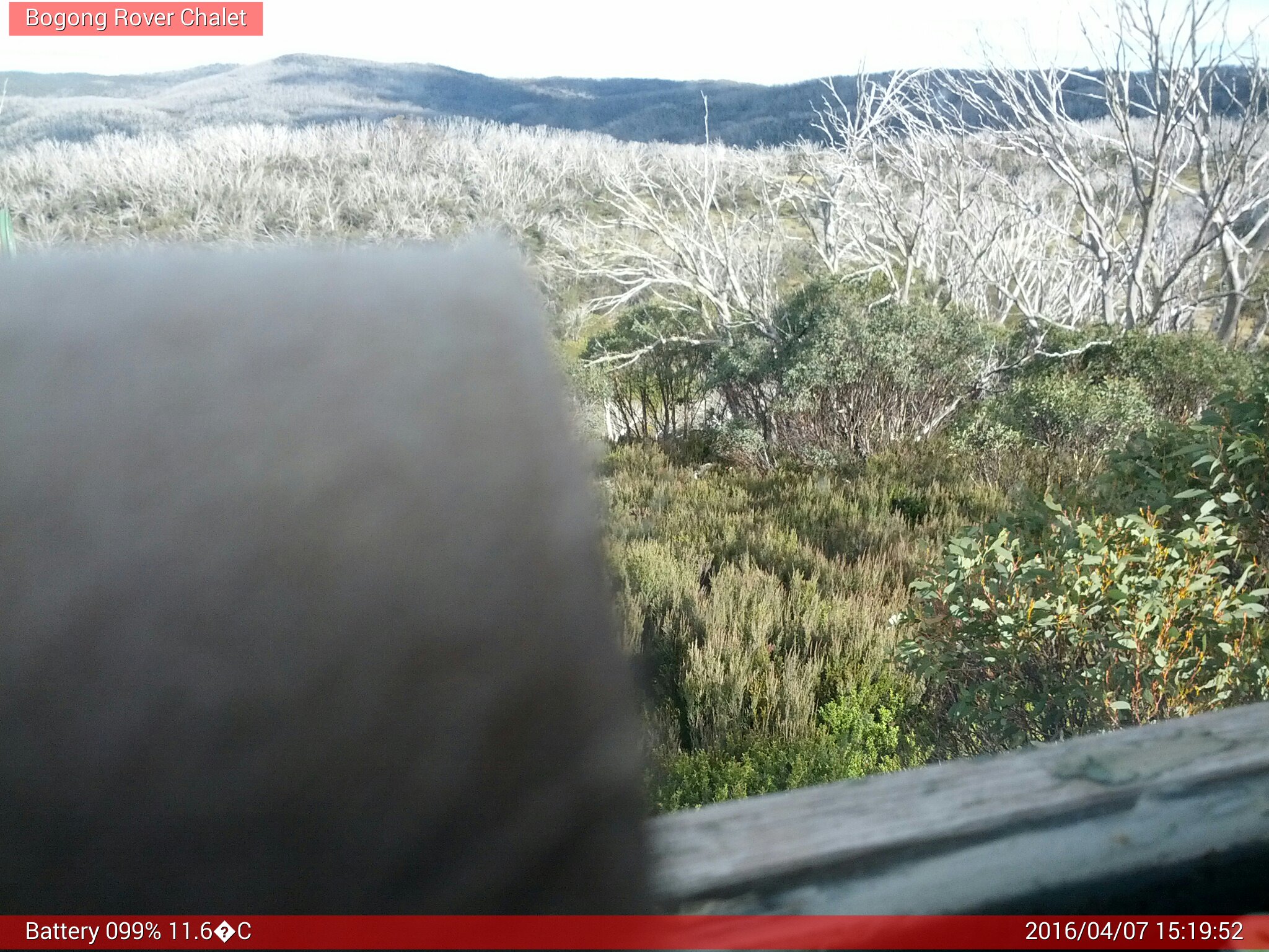 Bogong Web Cam 3:19pm Thursday 7th of April 2016