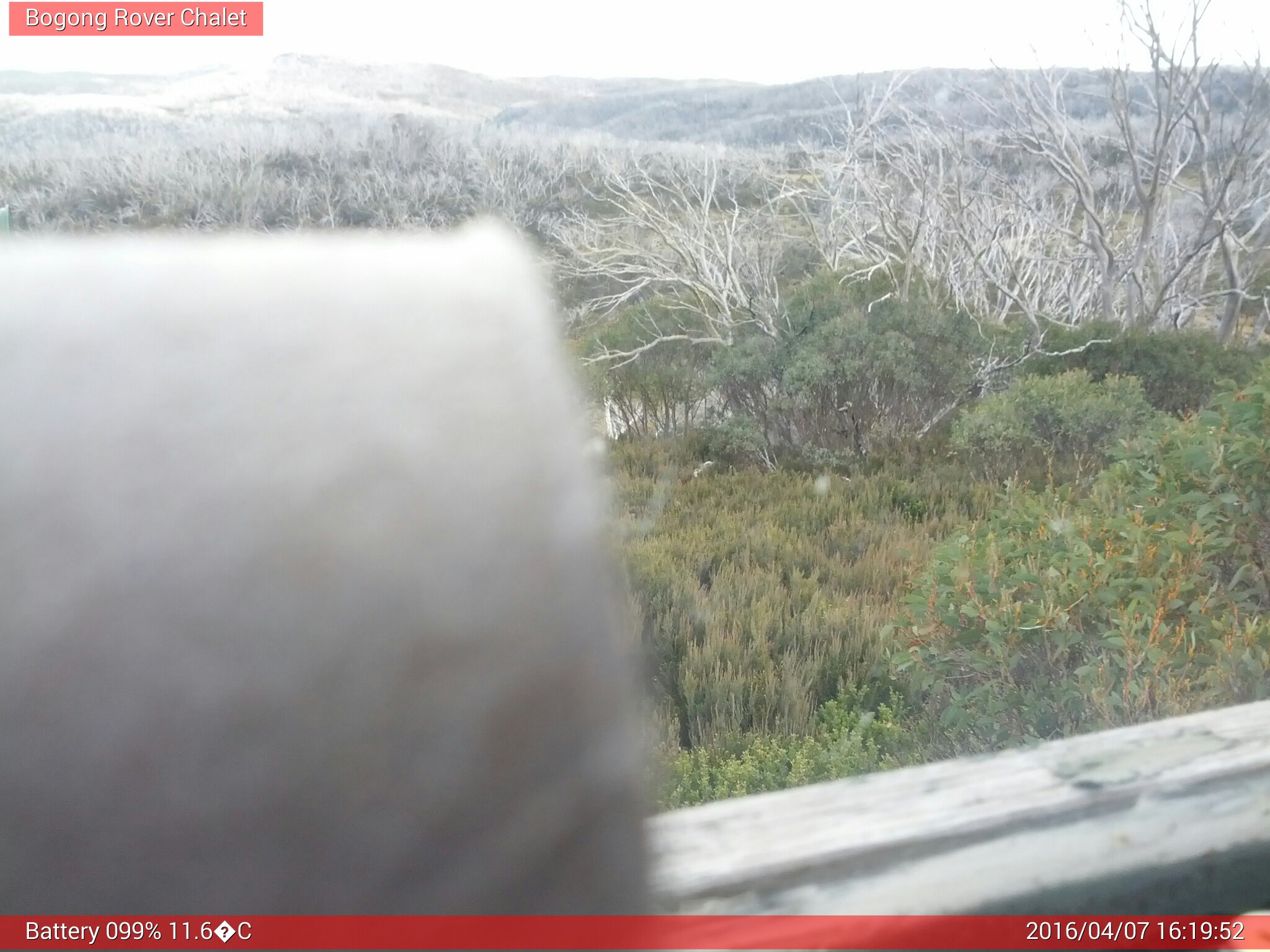 Bogong Web Cam 4:19pm Thursday 7th of April 2016