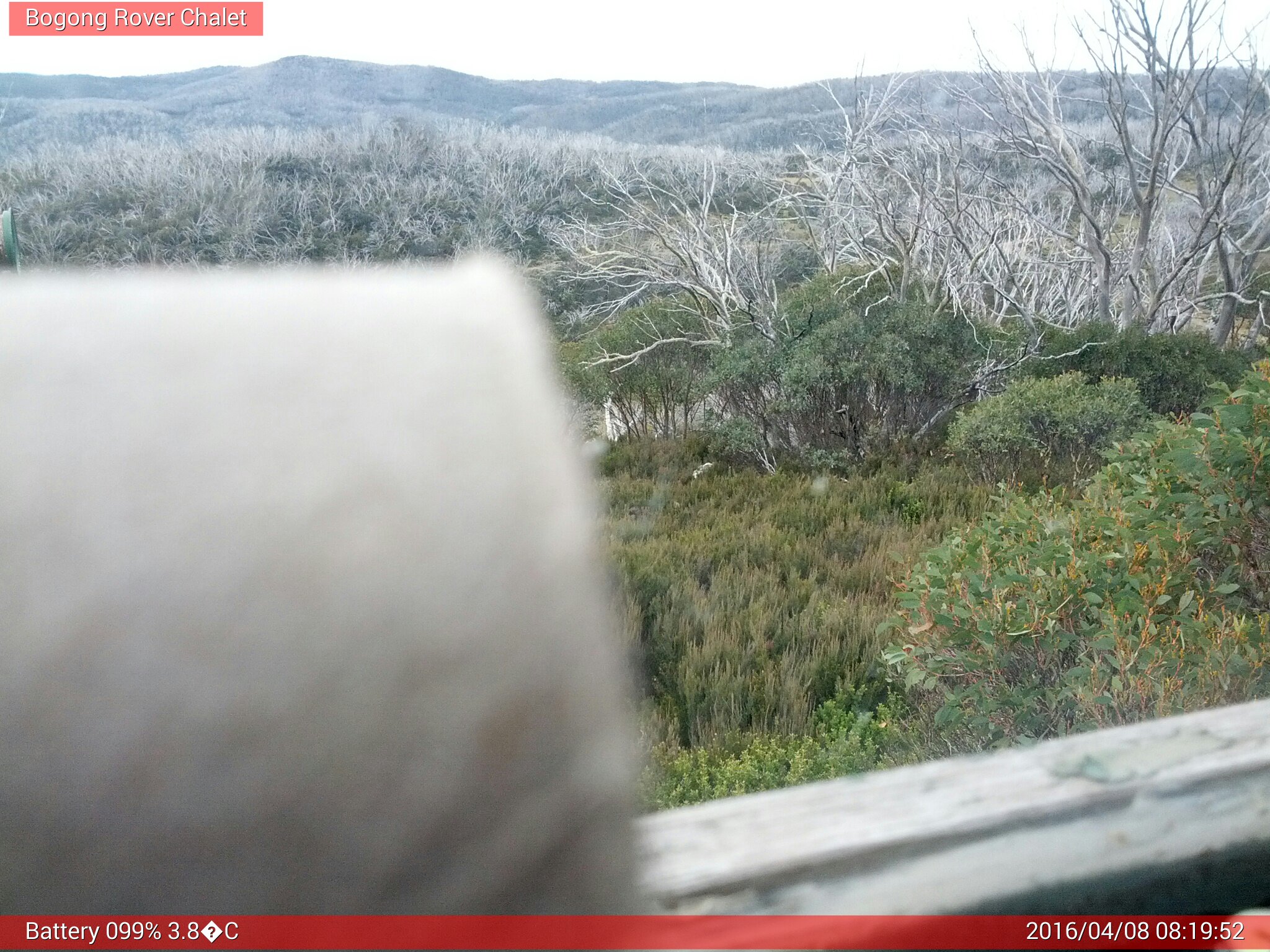 Bogong Web Cam 8:19am Friday 8th of April 2016