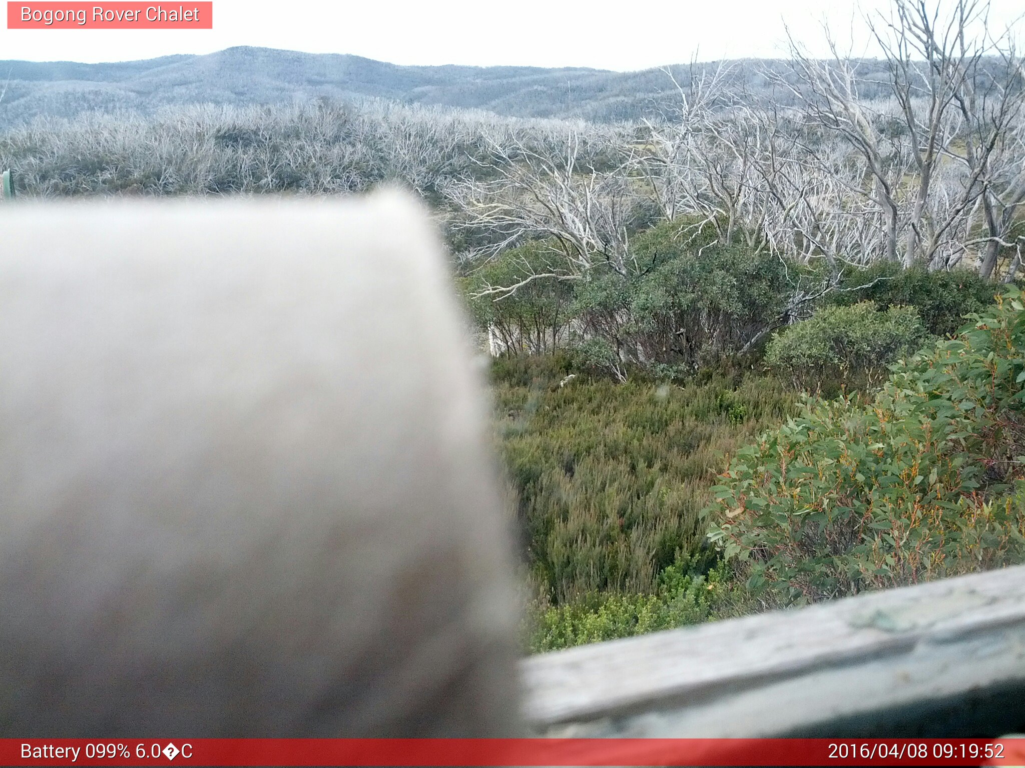 Bogong Web Cam 9:19am Friday 8th of April 2016