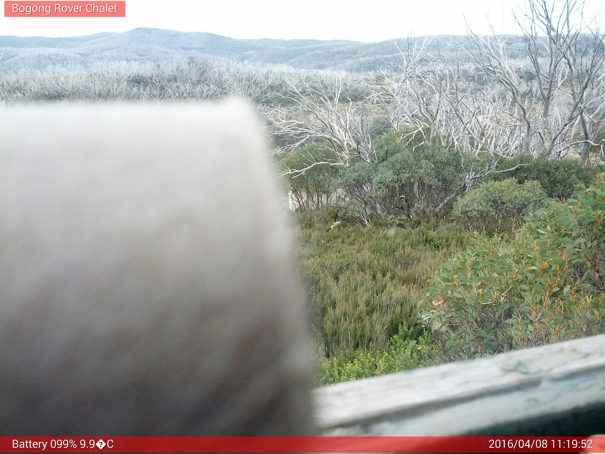 Bogong Web Cam 11:19am Friday 8th of April 2016