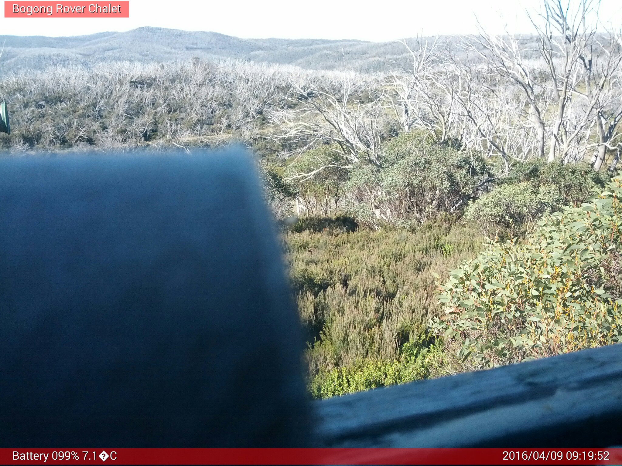 Bogong Web Cam 9:19am Saturday 9th of April 2016