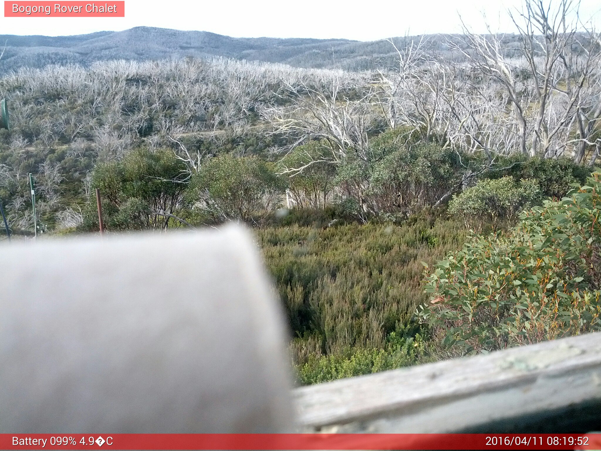 Bogong Web Cam 8:19am Monday 11th of April 2016