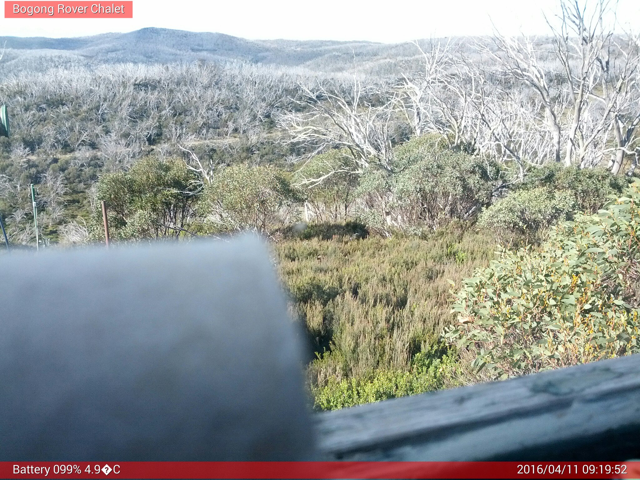 Bogong Web Cam 9:19am Monday 11th of April 2016