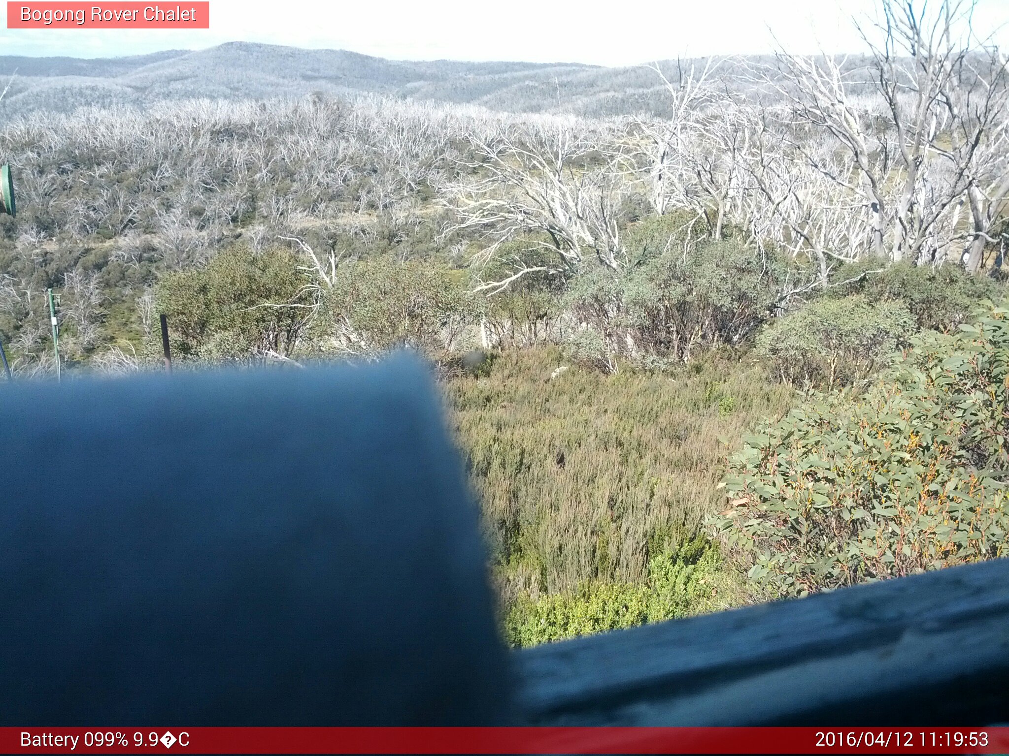 Bogong Web Cam 11:19am Tuesday 12th of April 2016