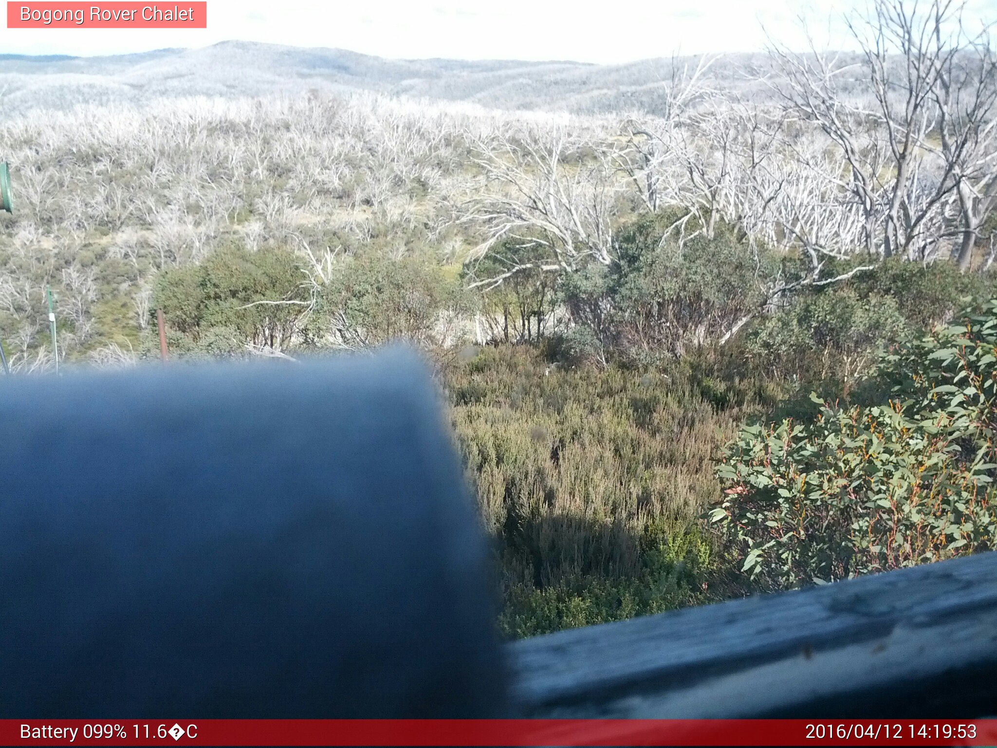 Bogong Web Cam 2:19pm Tuesday 12th of April 2016