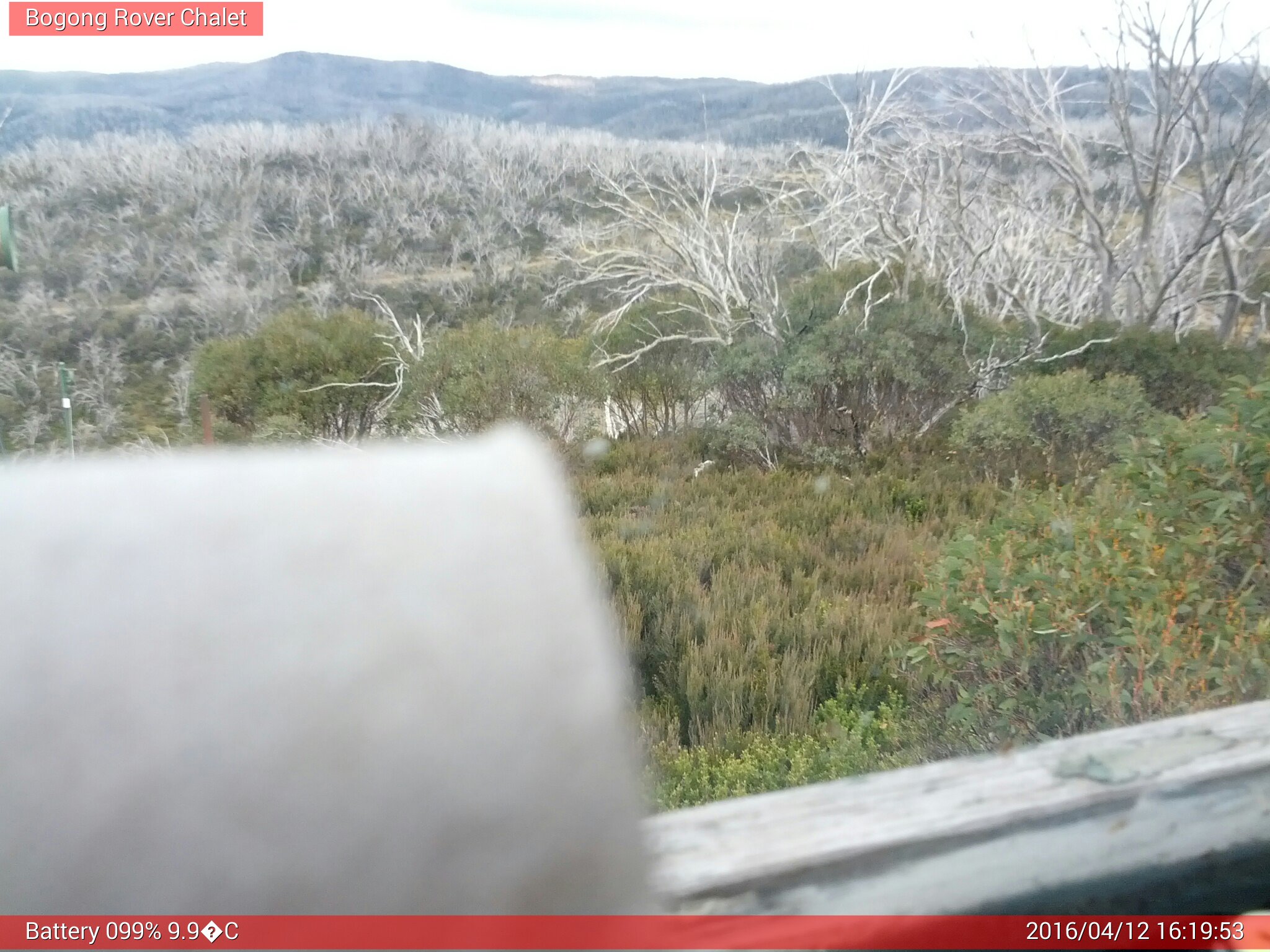 Bogong Web Cam 4:19pm Tuesday 12th of April 2016