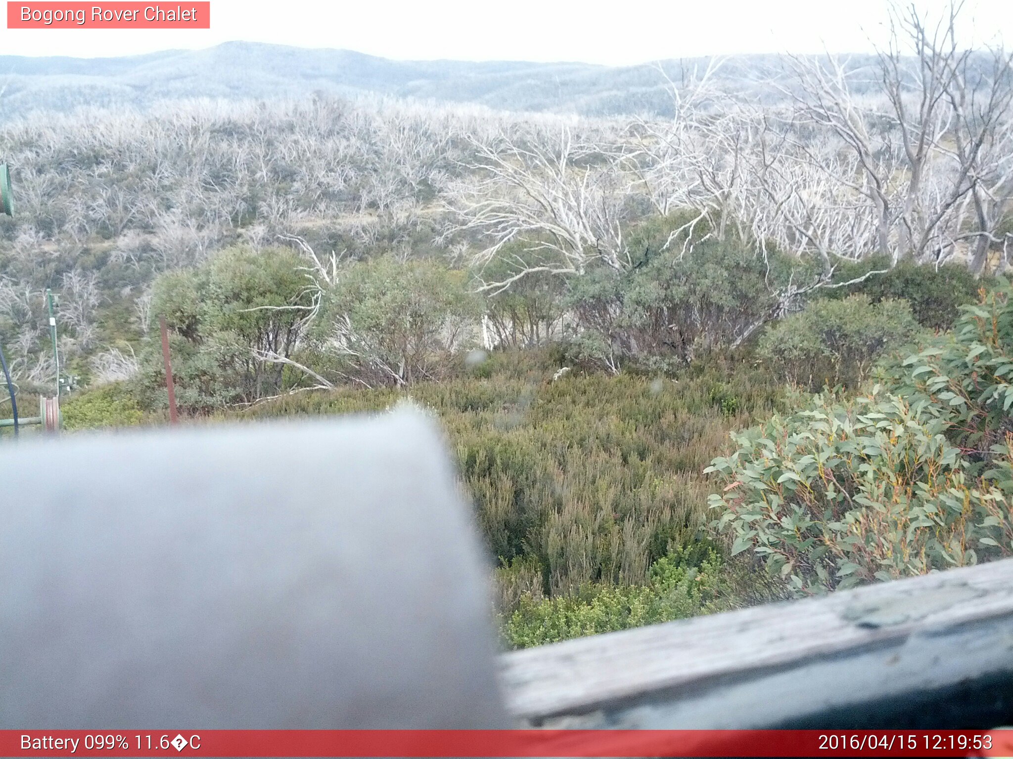 Bogong Web Cam 12:19pm Friday 15th of April 2016