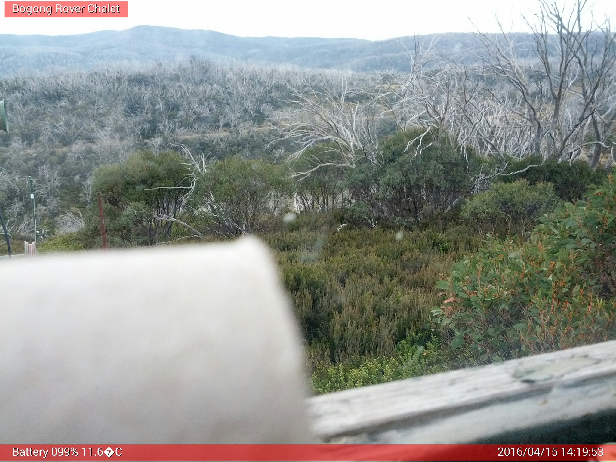 Bogong Web Cam 2:19pm Friday 15th of April 2016