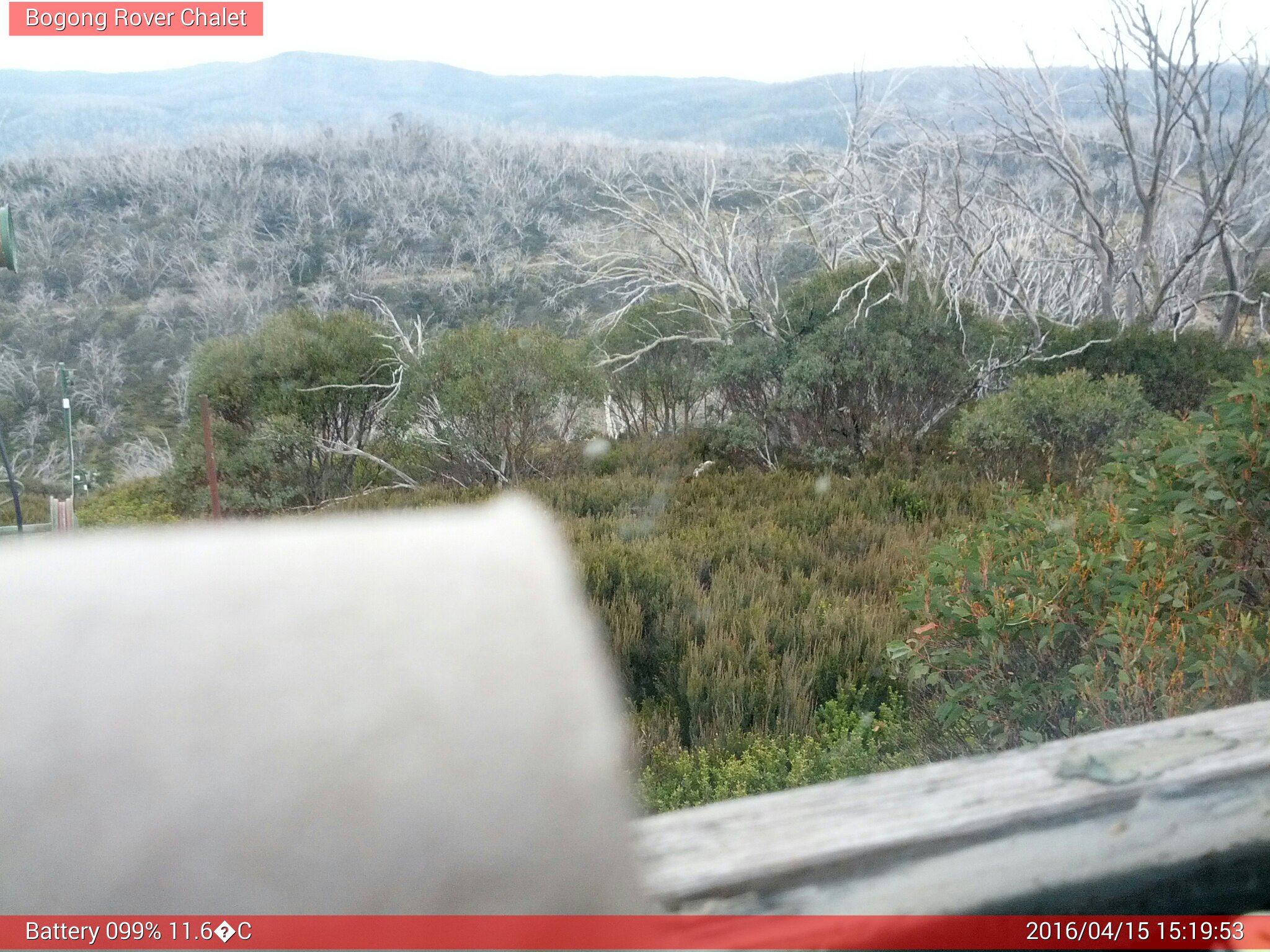 Bogong Web Cam 3:19pm Friday 15th of April 2016