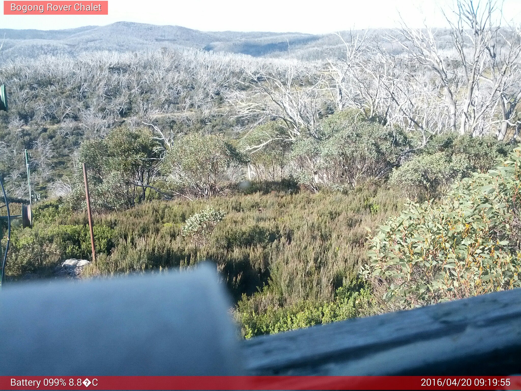 Bogong Web Cam 9:19am Wednesday 20th of April 2016