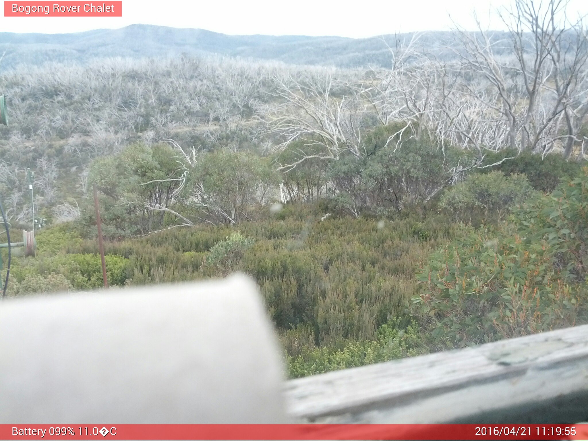 Bogong Web Cam 11:19am Thursday 21st of April 2016