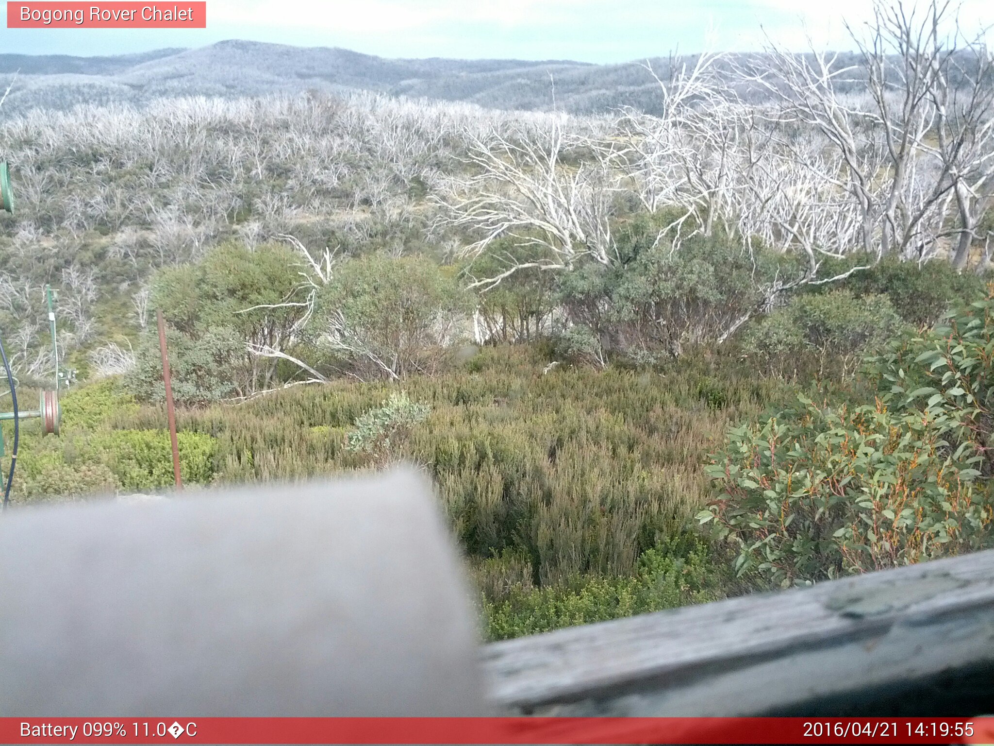 Bogong Web Cam 2:19pm Thursday 21st of April 2016