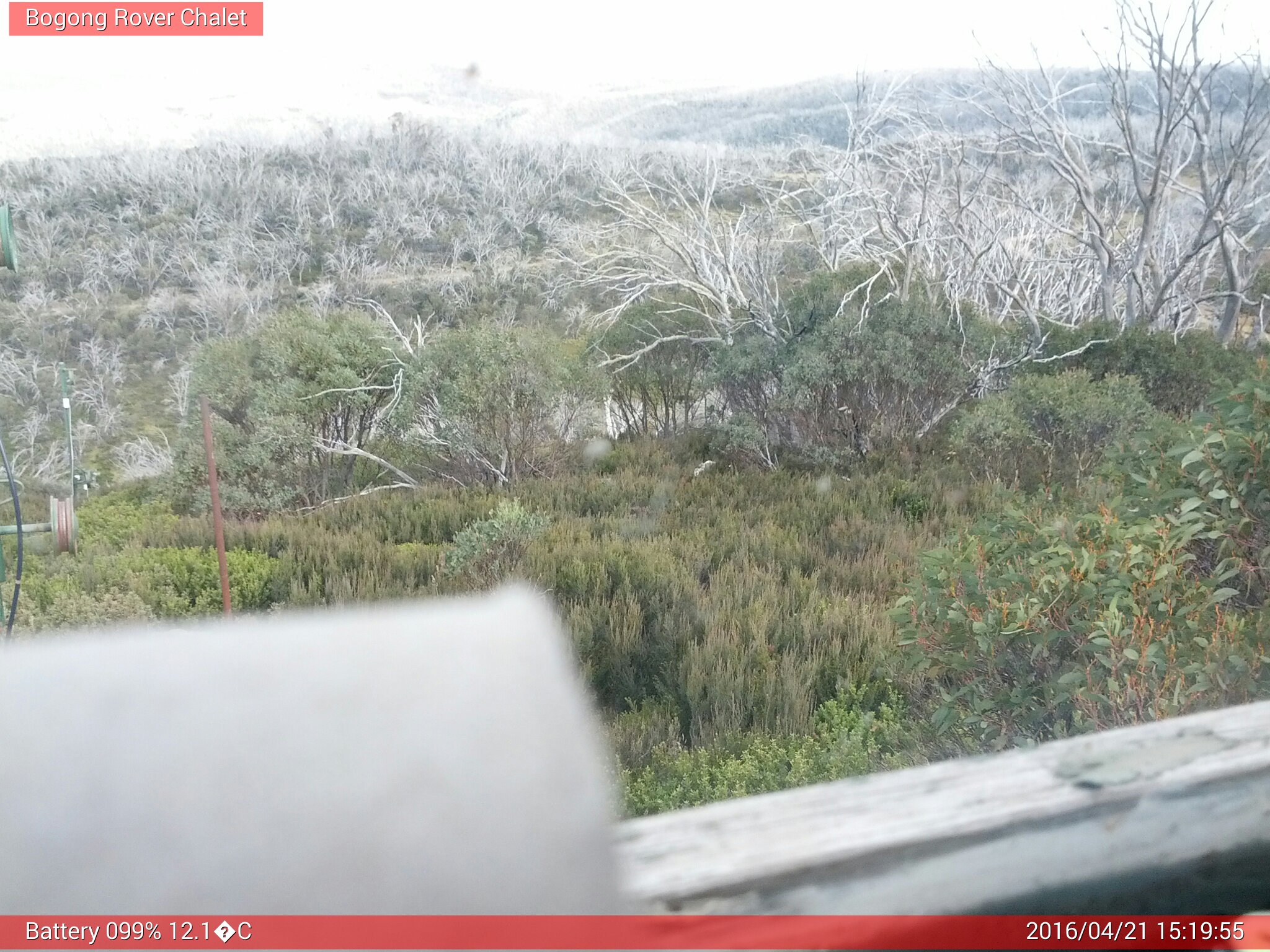 Bogong Web Cam 3:19pm Thursday 21st of April 2016