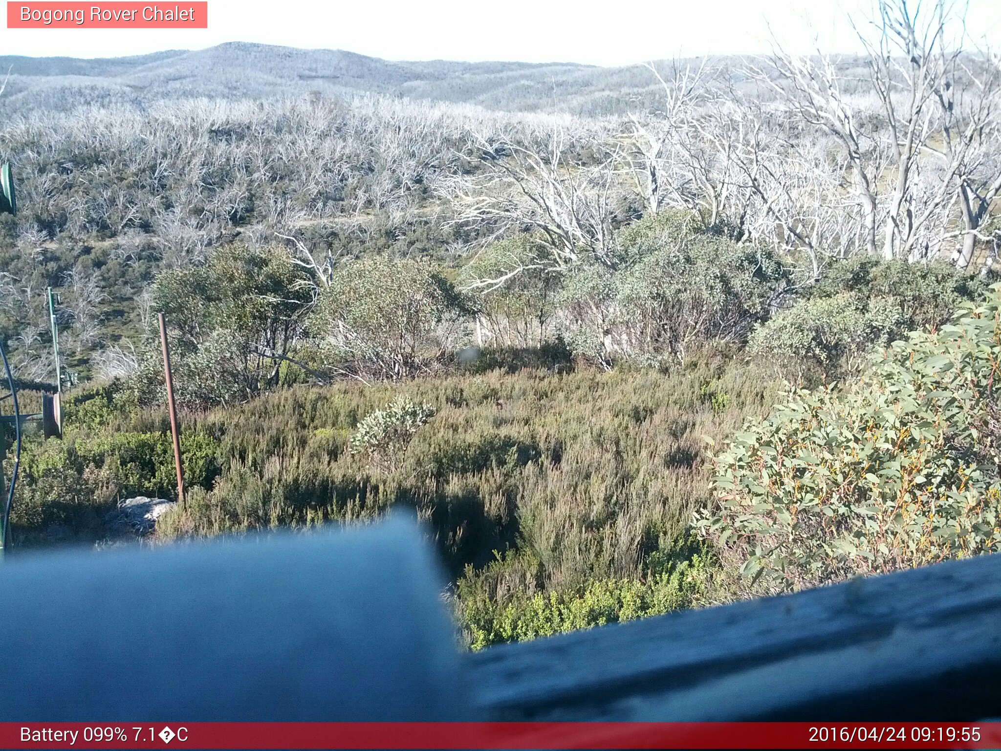 Bogong Web Cam 9:19am Sunday 24th of April 2016