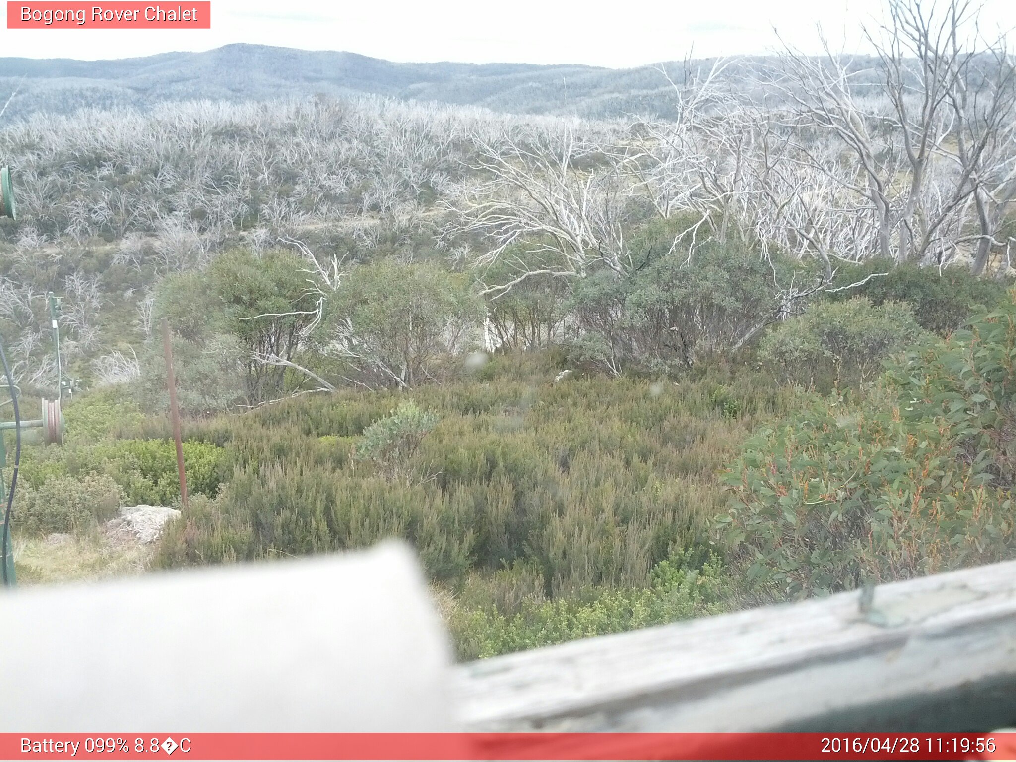 Bogong Web Cam 11:19am Thursday 28th of April 2016