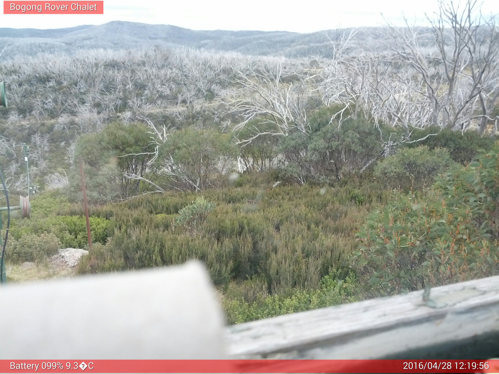 Bogong Web Cam 12:19pm Thursday 28th of April 2016