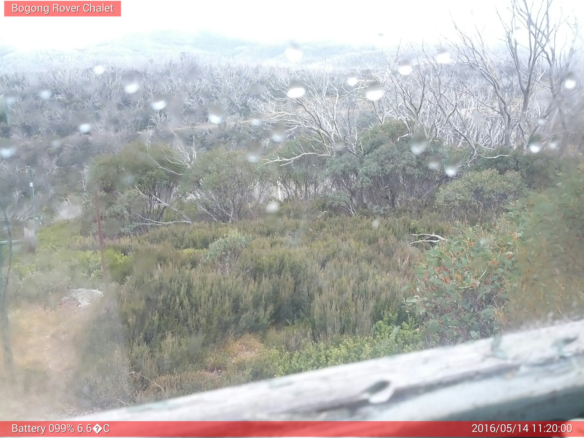 Bogong Web Cam 11:19am Saturday 14th of May 2016