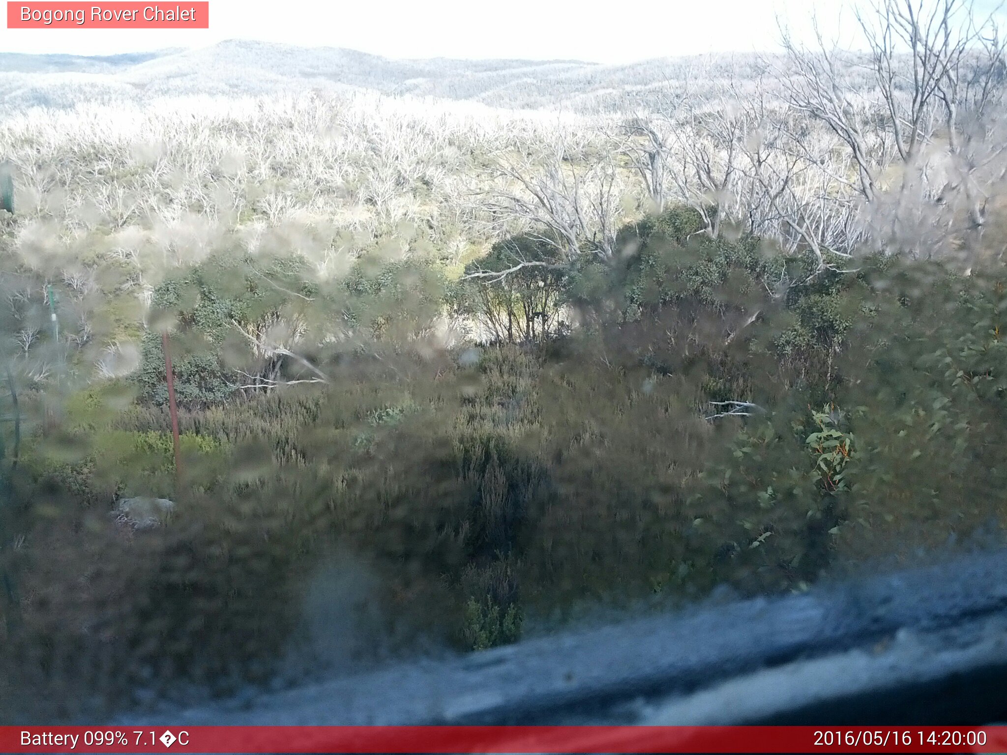 Bogong Web Cam 2:19pm Monday 16th of May 2016