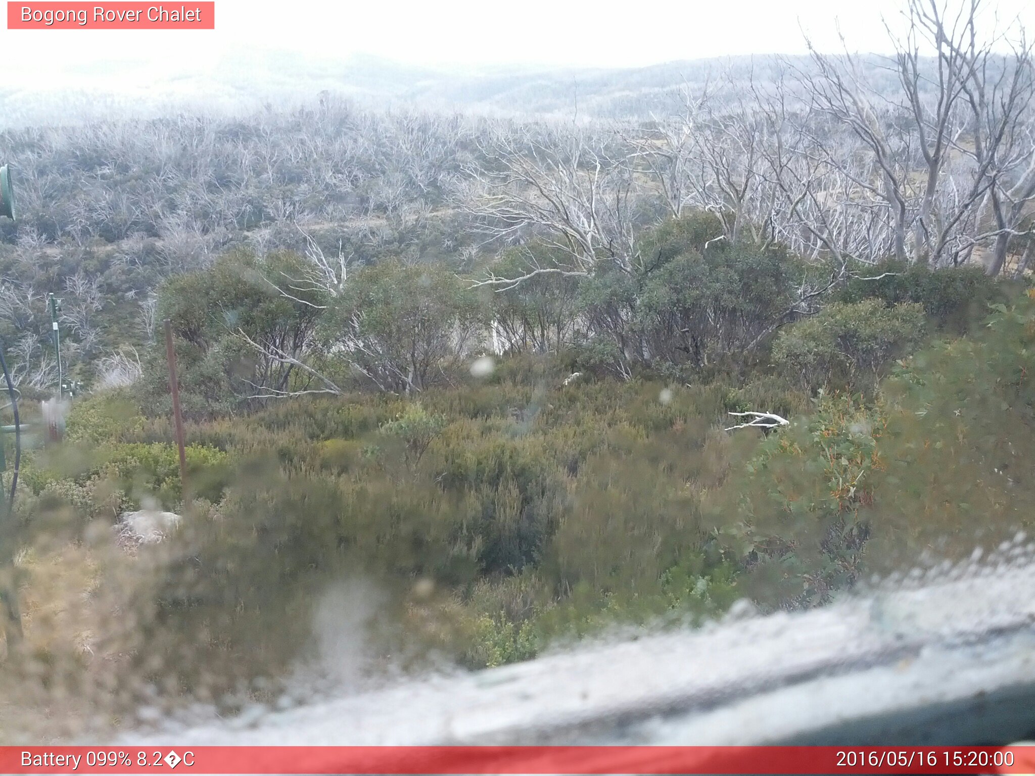 Bogong Web Cam 3:19pm Monday 16th of May 2016